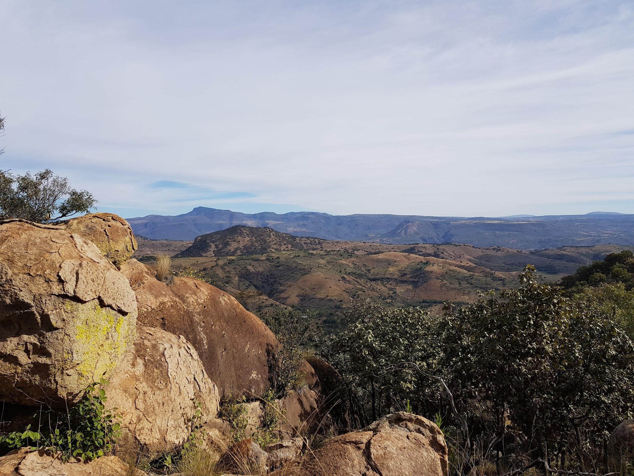 El Diente galería 7