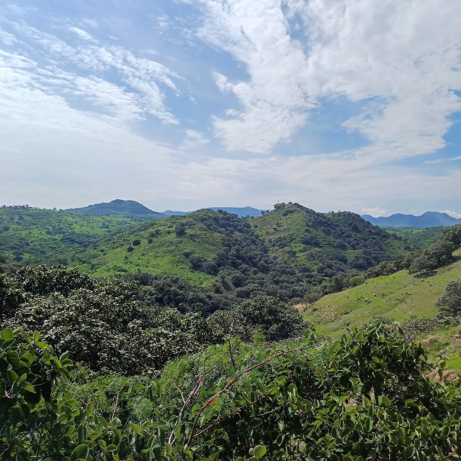 El Diente galería 8