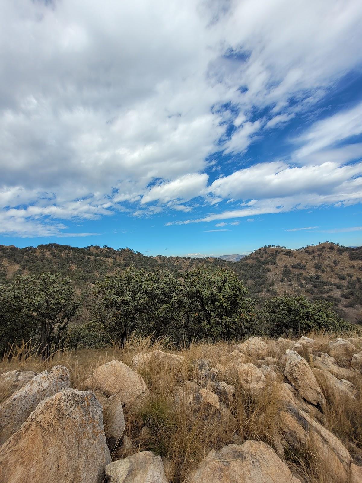 El Diente galería 9