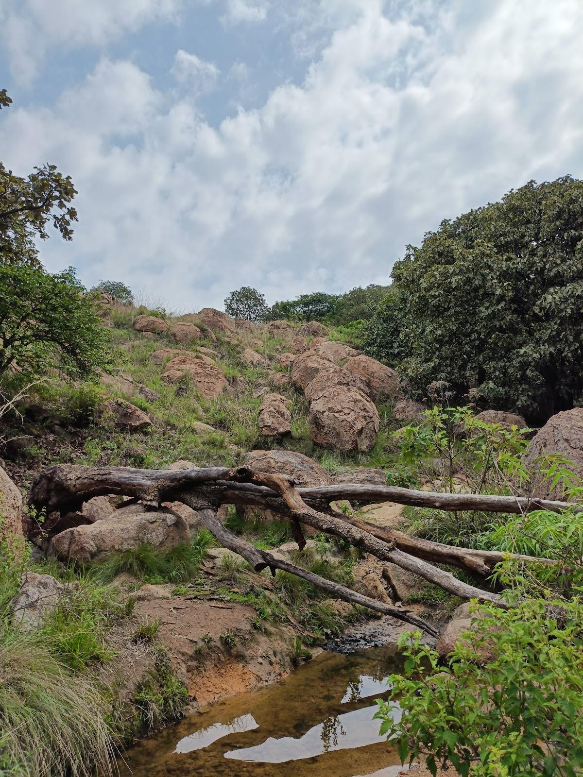 El Diente galería 10