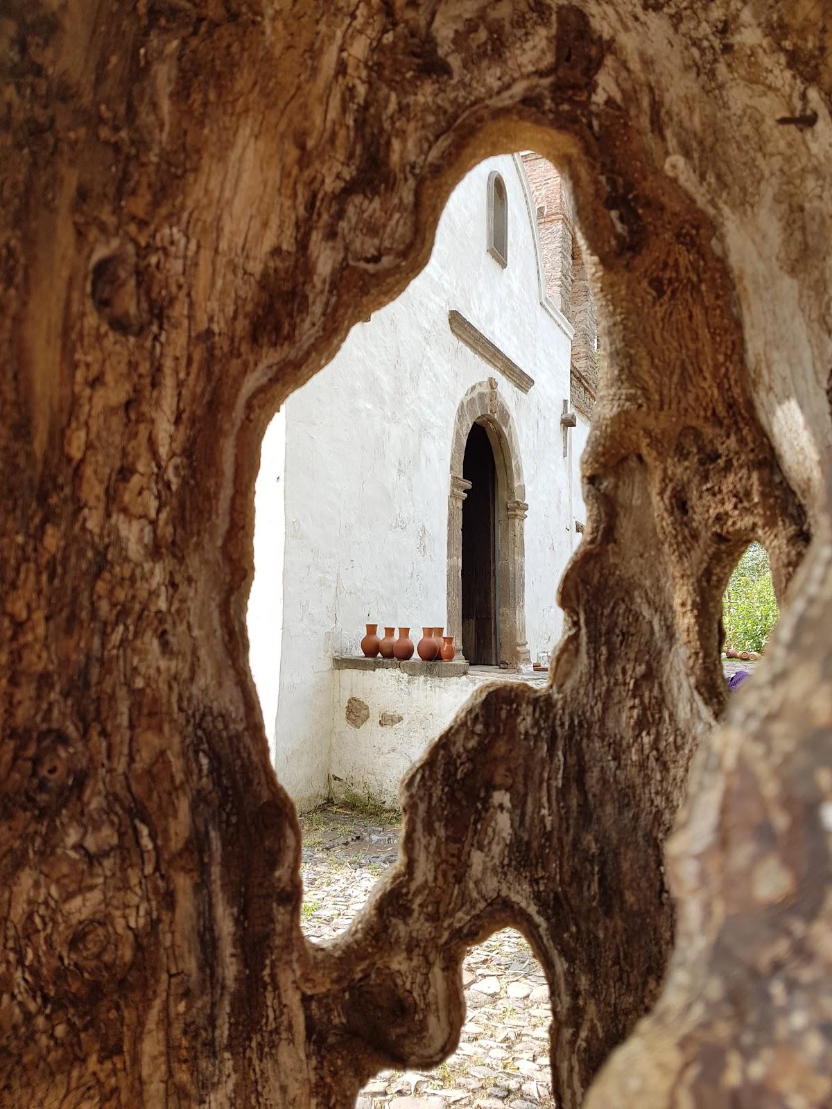 Ex Hospital de Indios galería 7