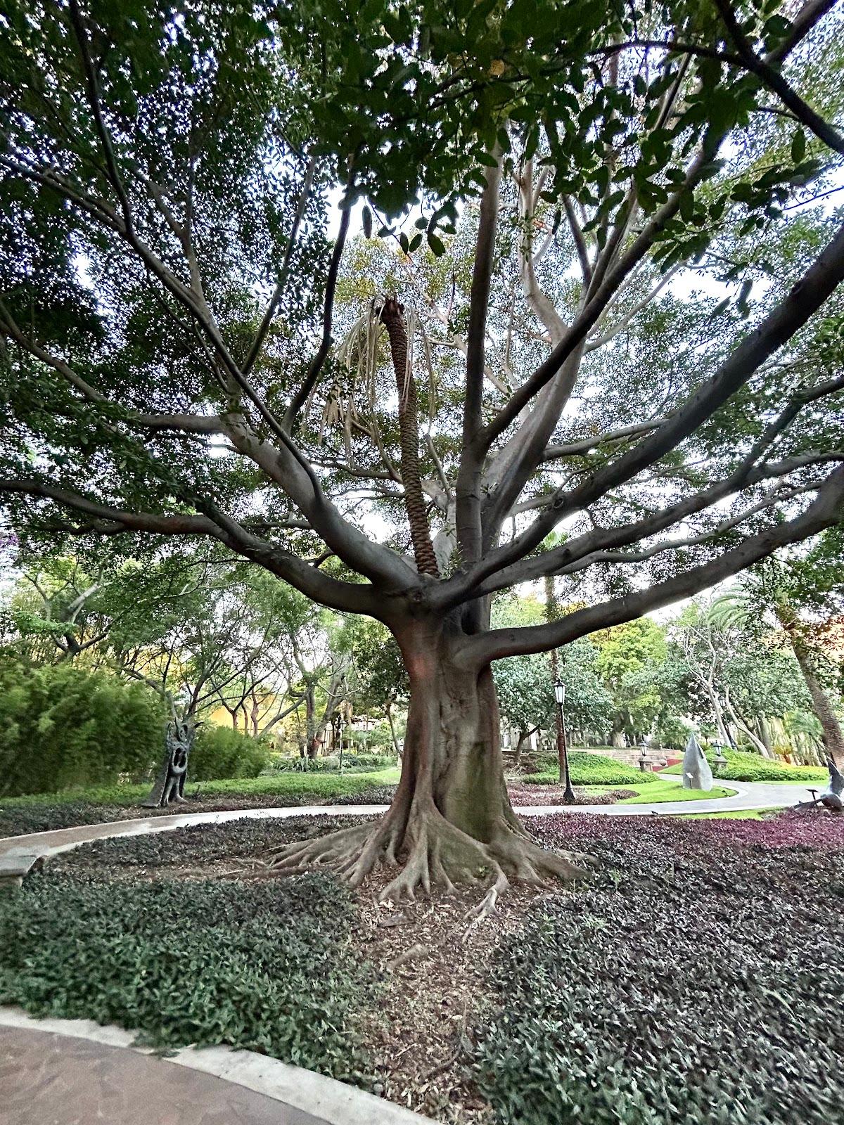 Hacienda El Centenario galería 6