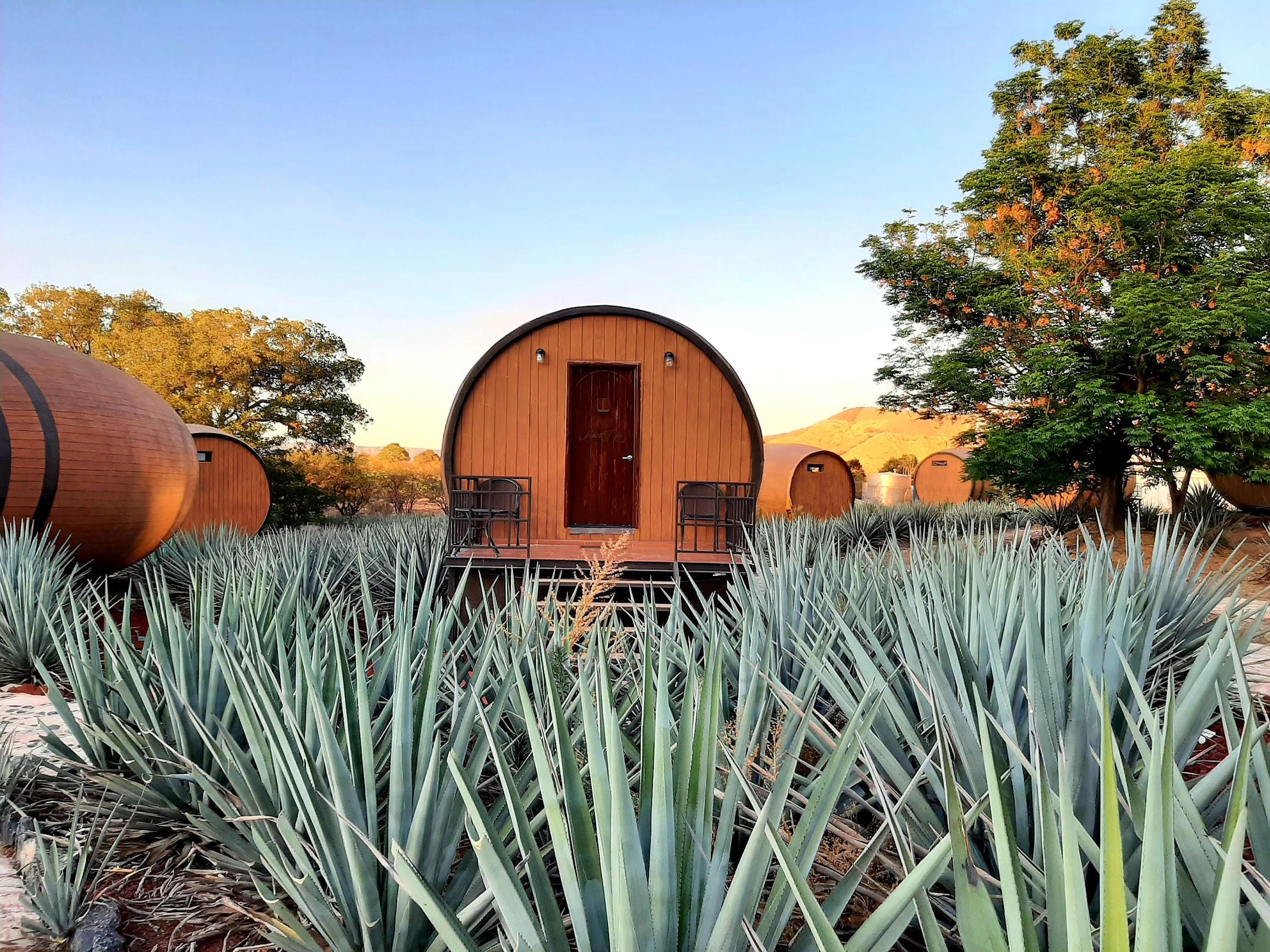 Hacienda Tequilera La Cofradía galería 2