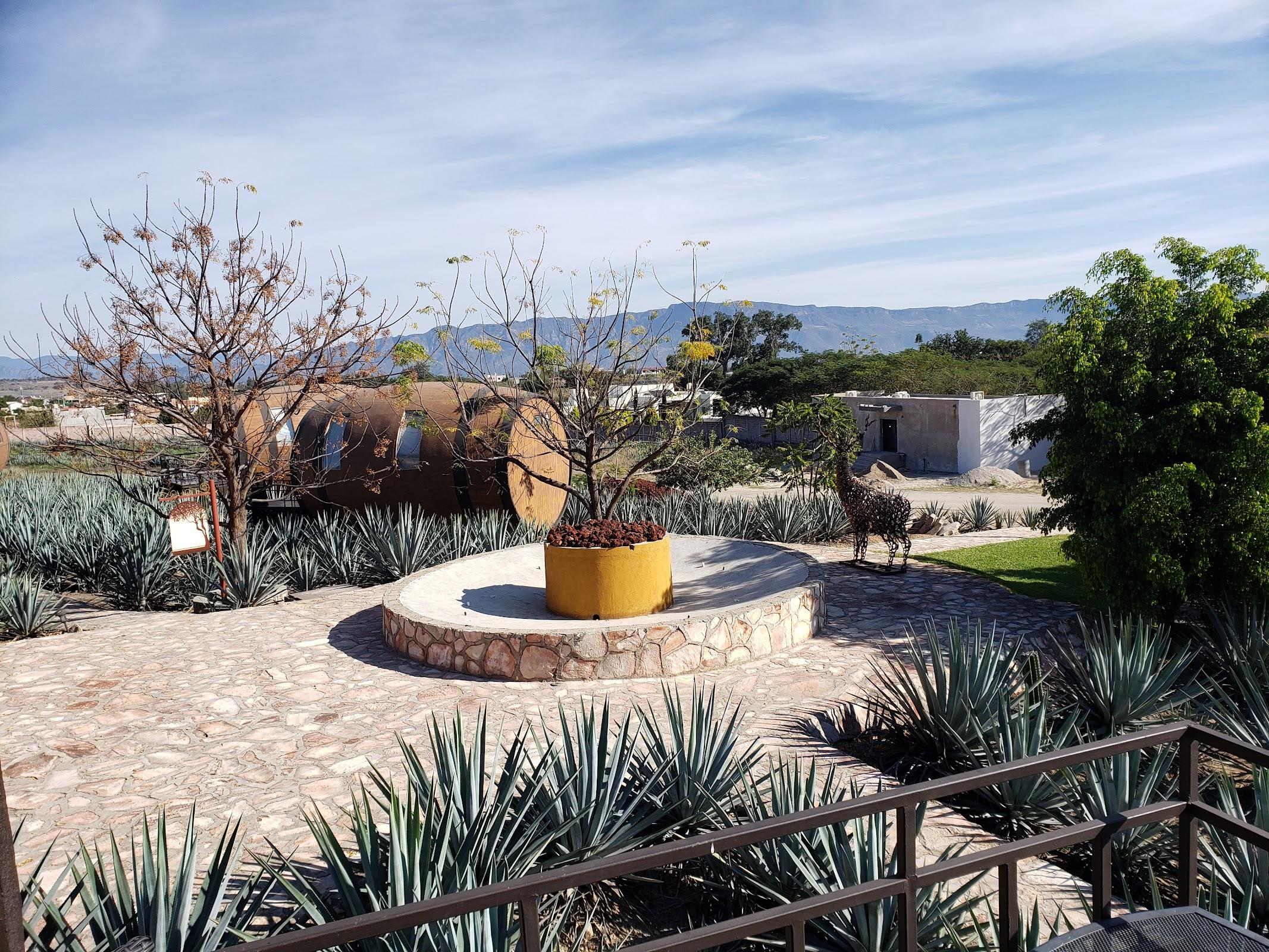 Hacienda Tequilera La Cofradía galería 8