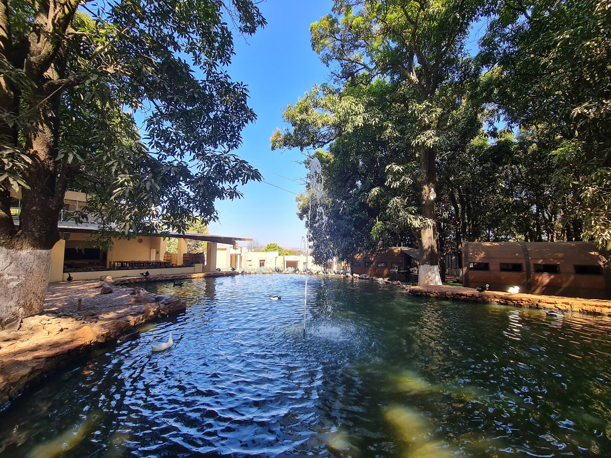 Hacienda Tequilera La Cofradía galería 9