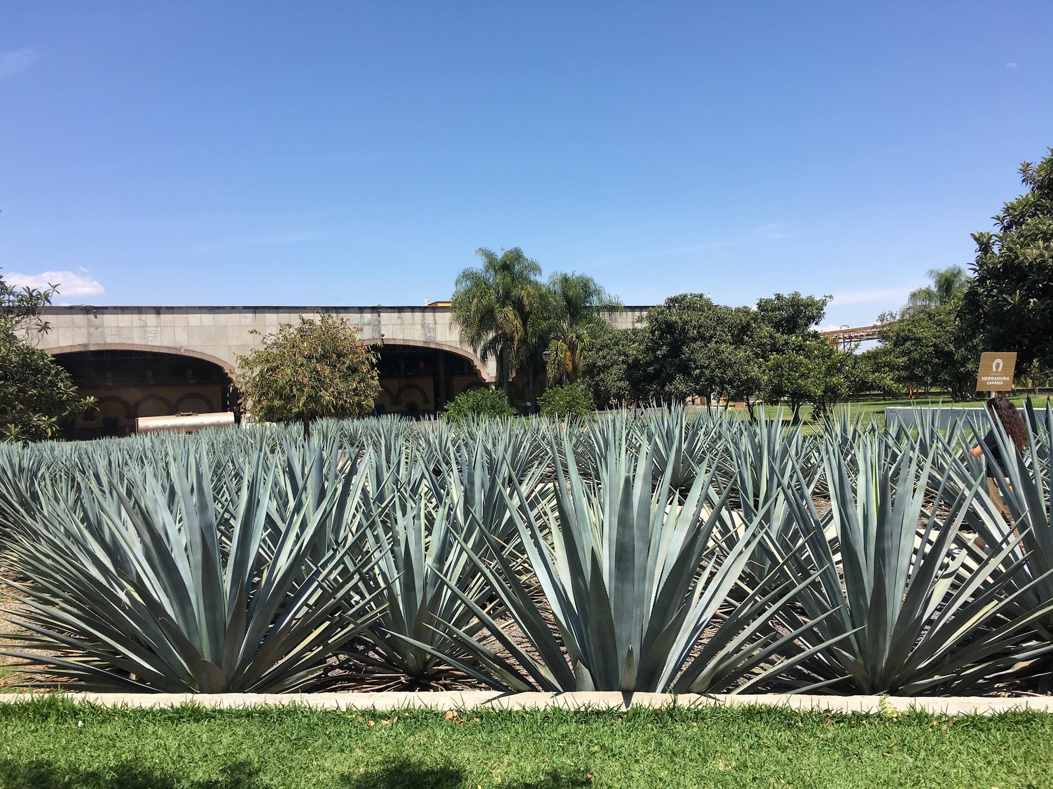 Herradura Express galería 10