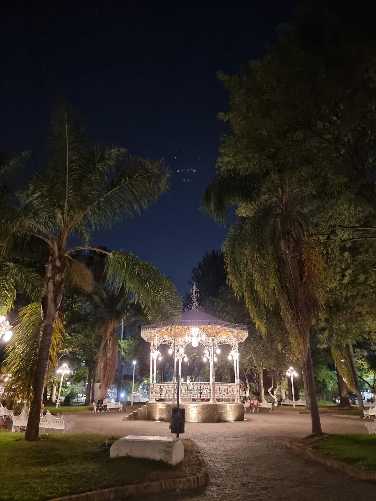 Jardín del Arte de la Glorieta Chapalita galería 4