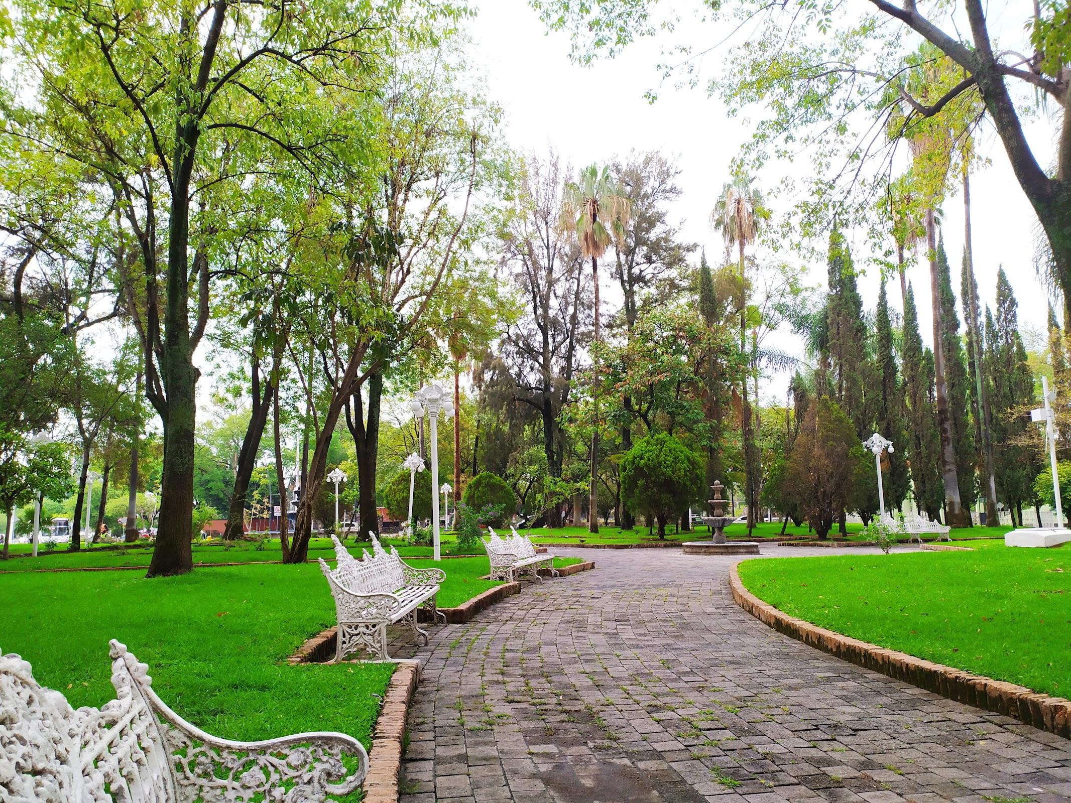 Jardín del Arte de la Glorieta Chapalita galería 5