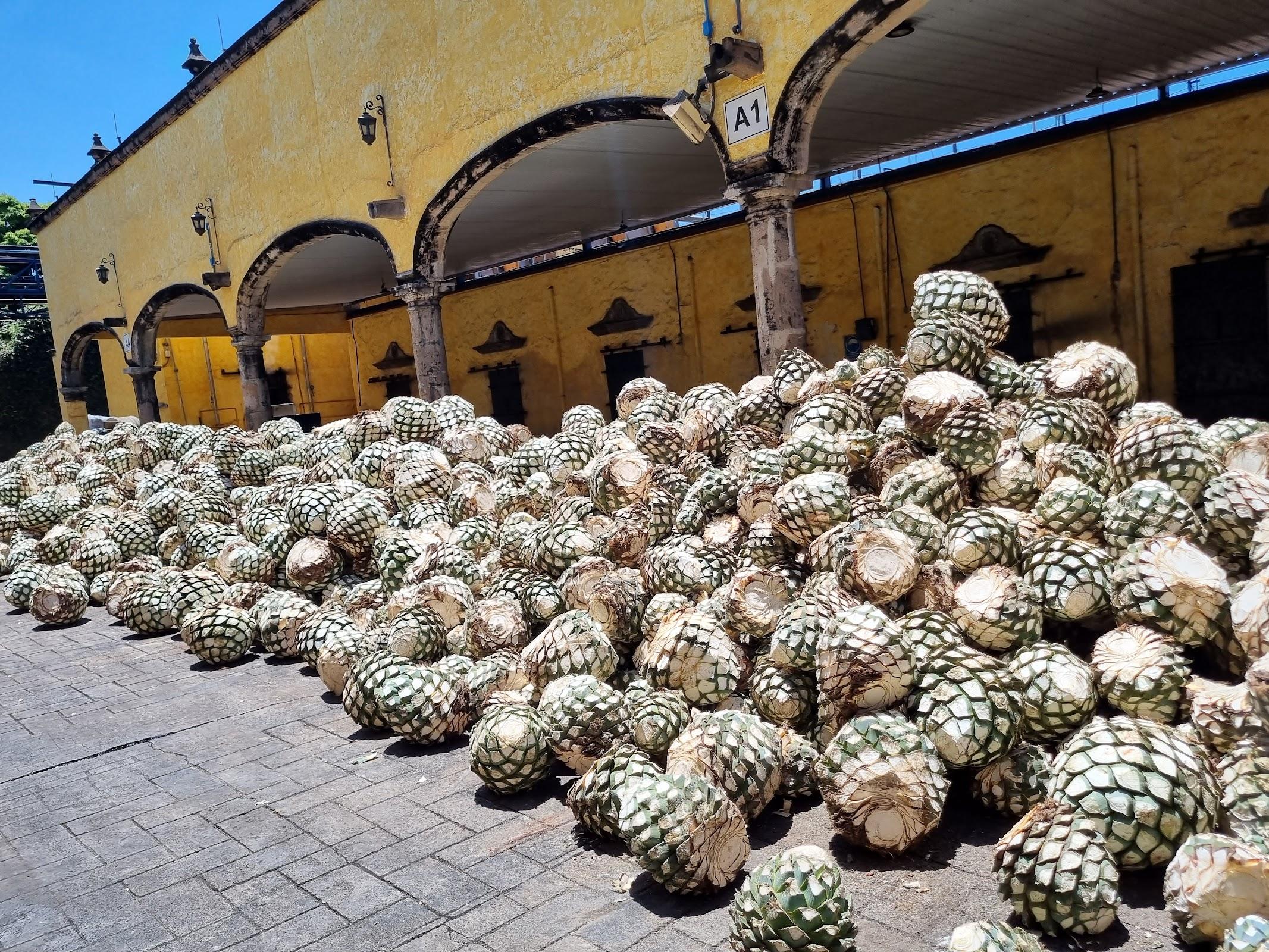 Jose Cuervo Express galería 5