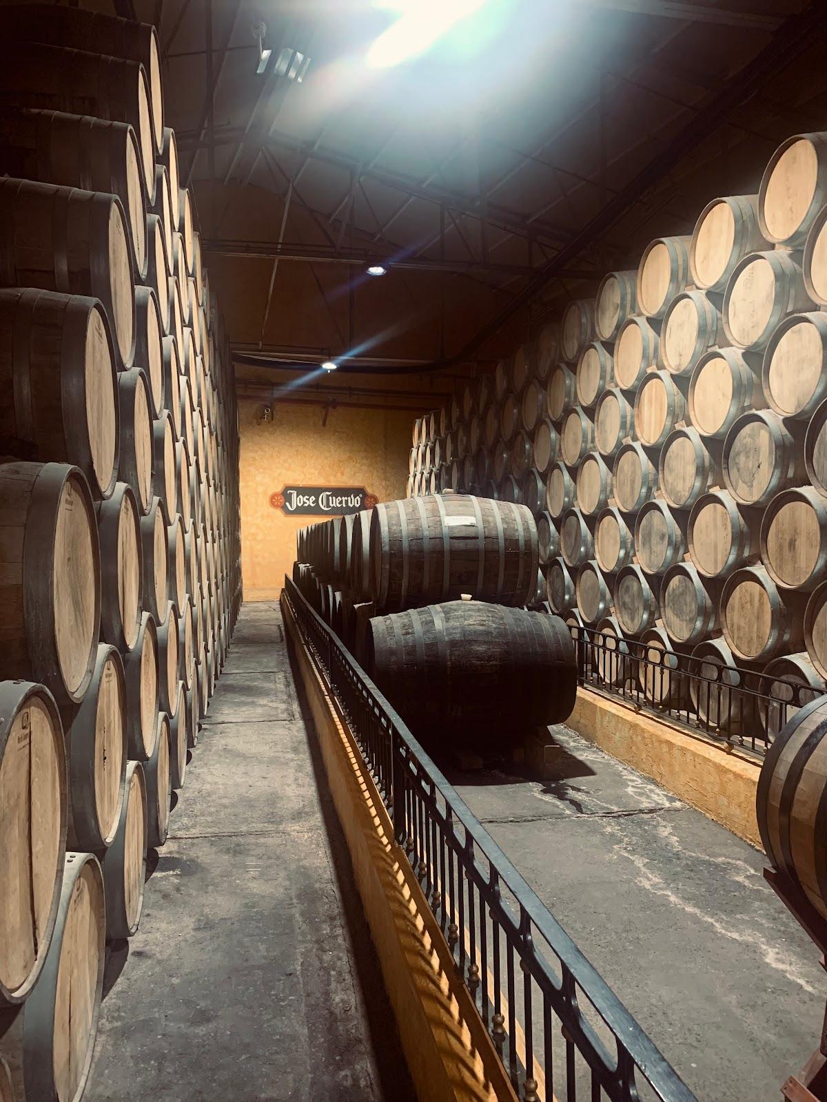 Jose Cuervo Express galería 8