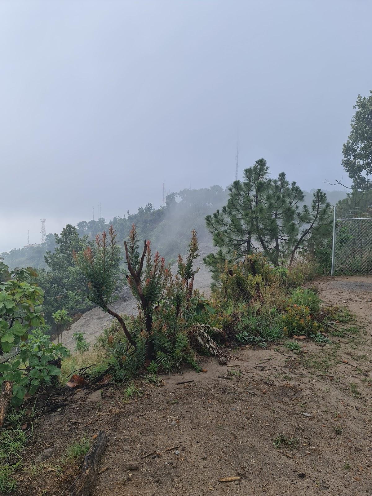 Mirador El Palomar galería 3