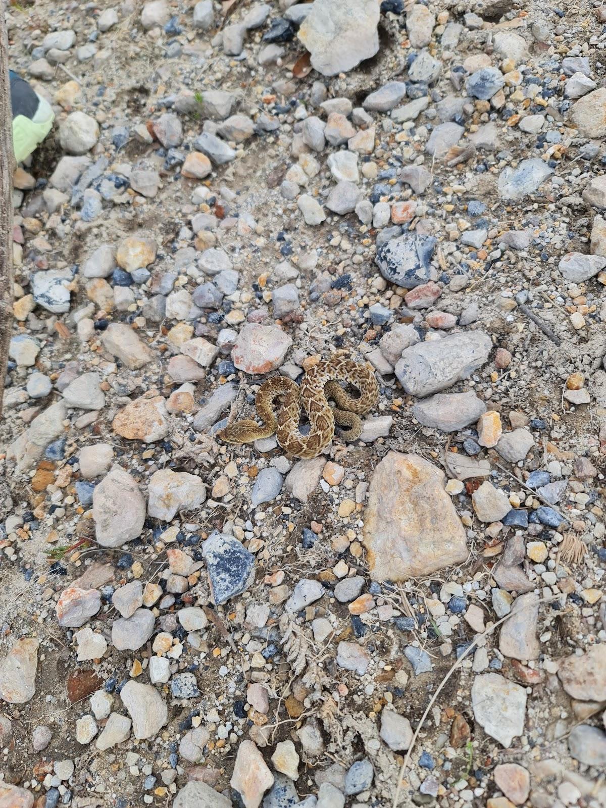 Mirador El Palomar galería 7