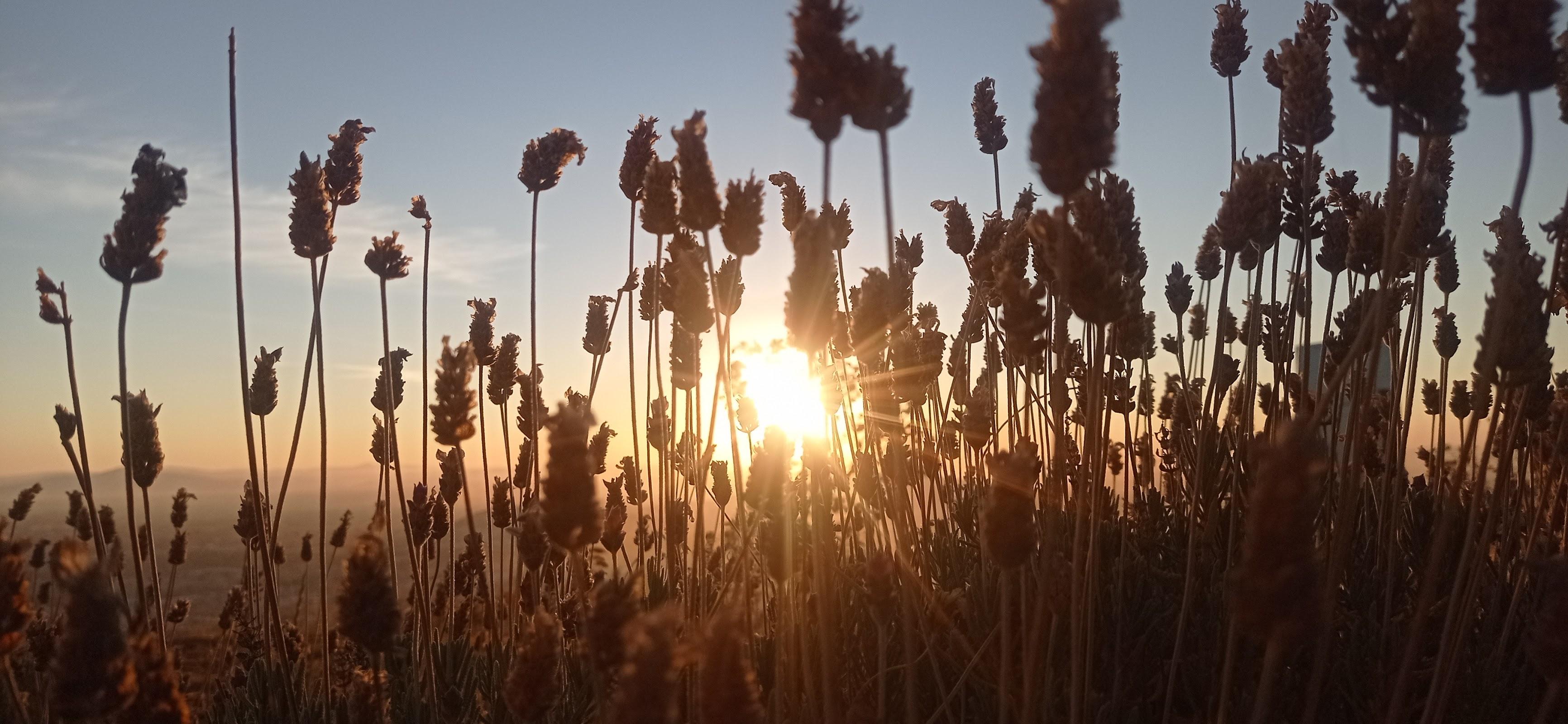 Mirador El Palomar galería 8