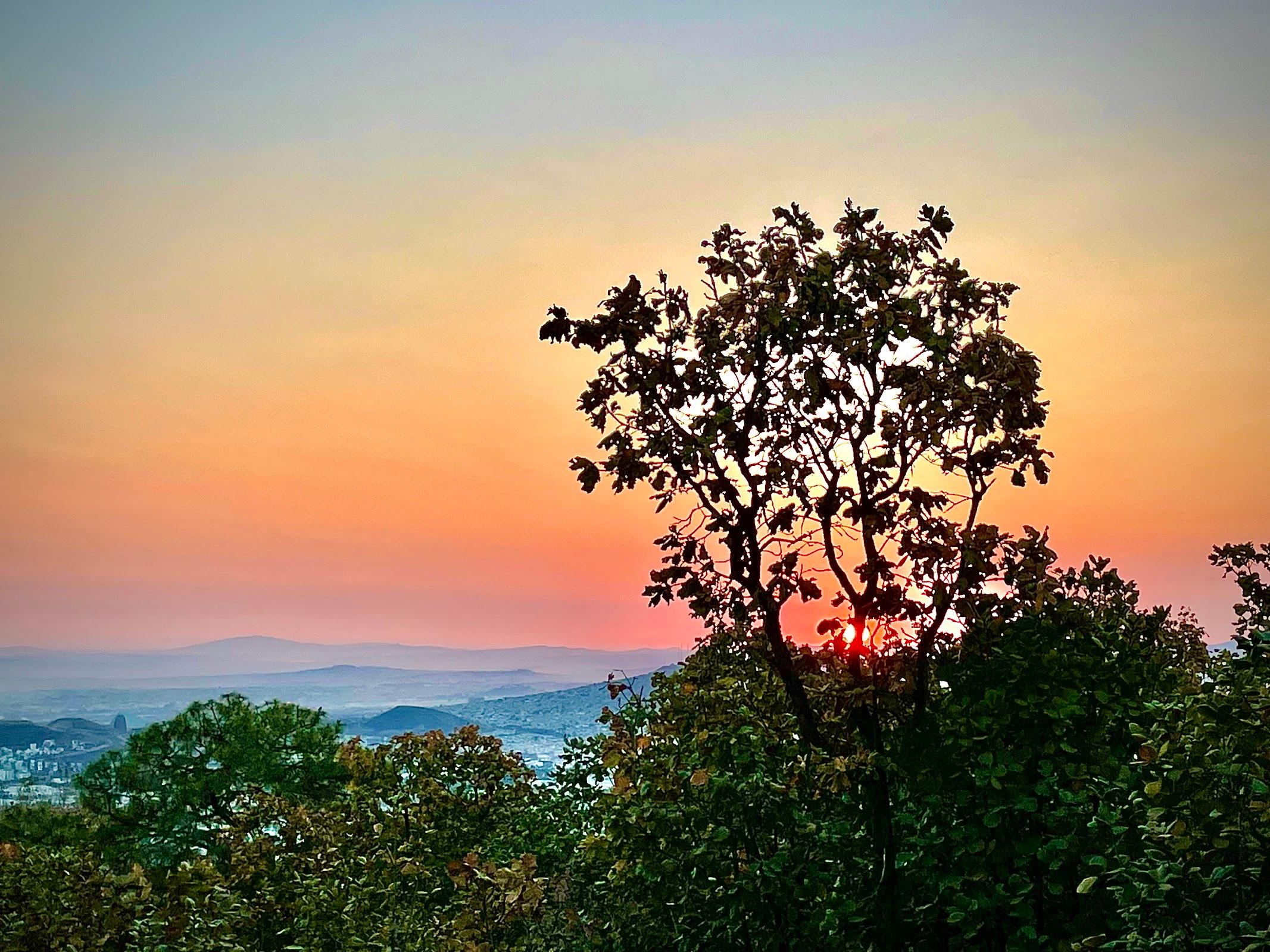 Mirador El Palomar galería 9