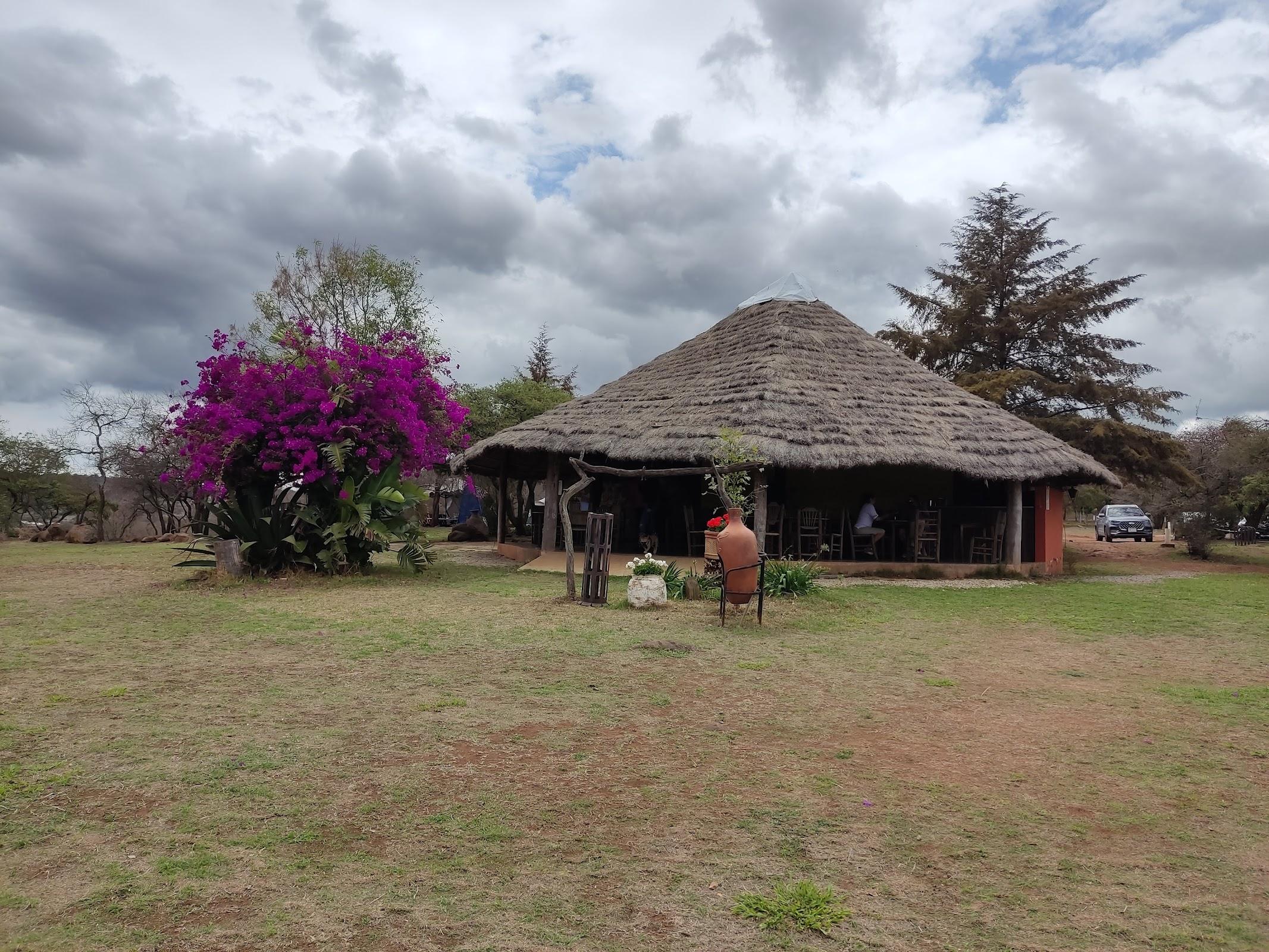 Aventuras La Ceja galería 2