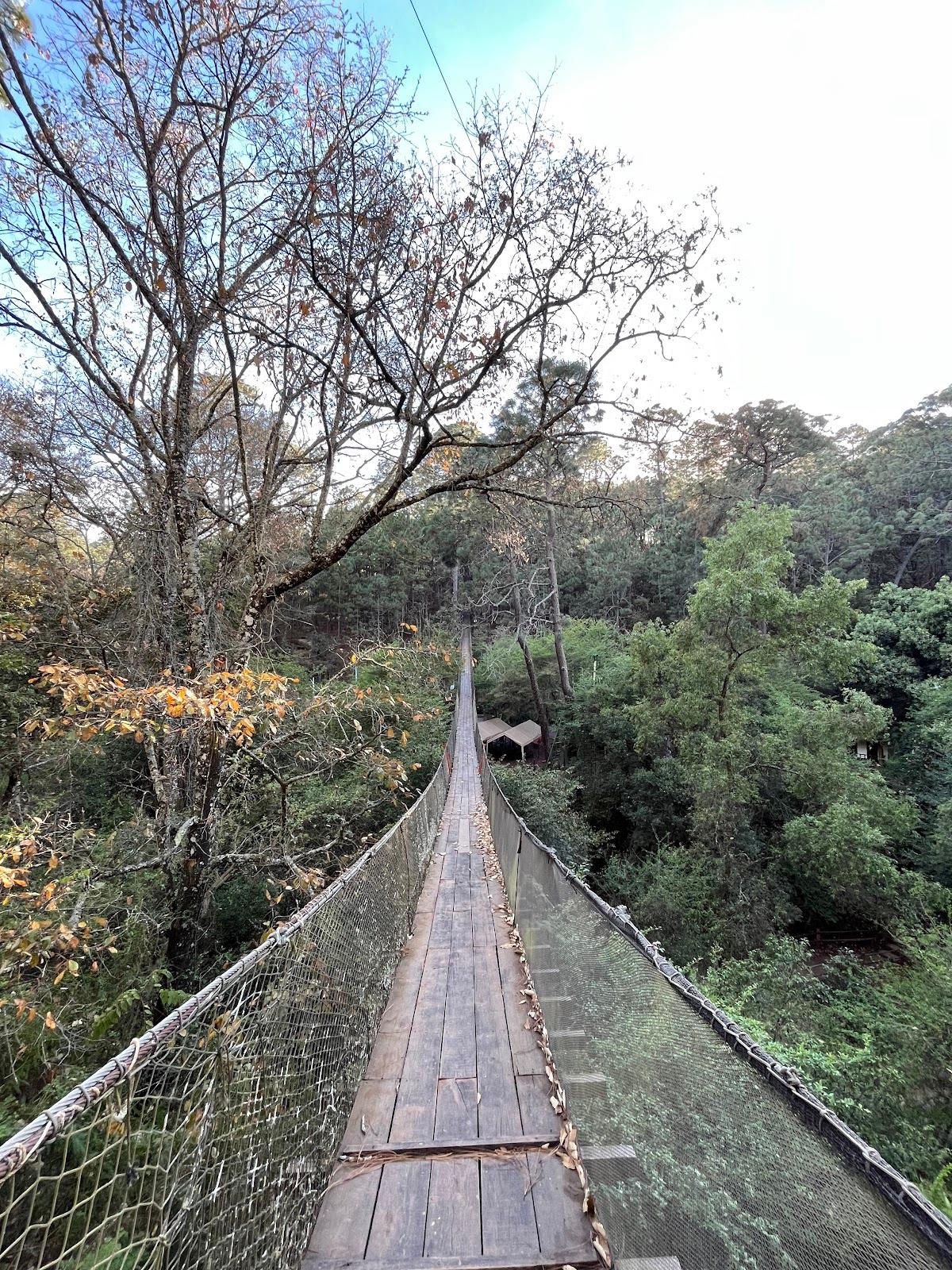 Ekopark Tapalpa galería 3