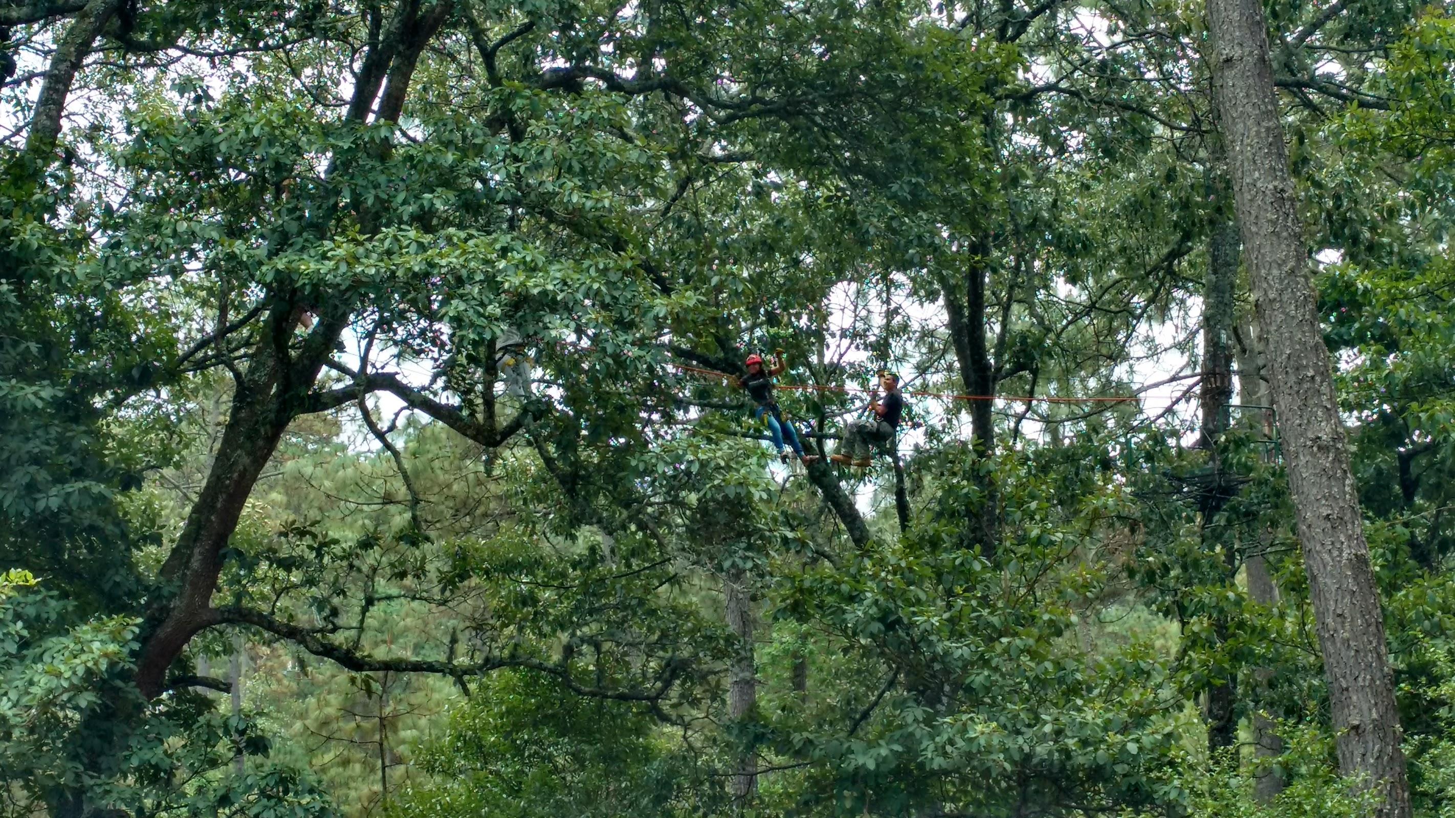 Ekopark Tapalpa galería 7