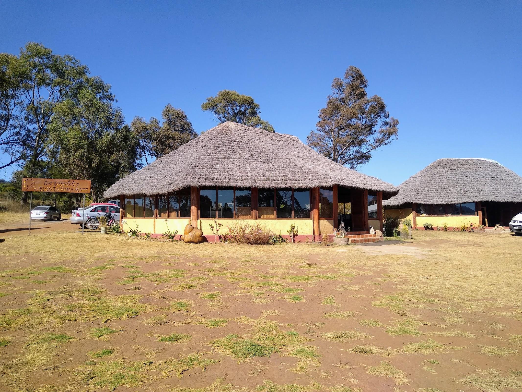 Los Papalotes galería 3