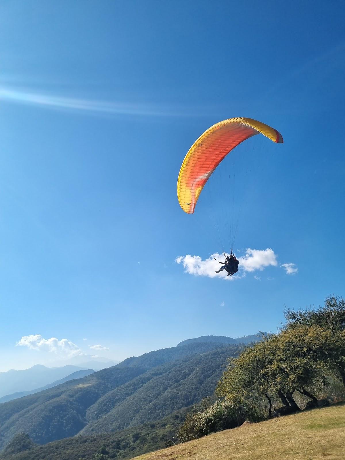 Los Papalotes galería 4