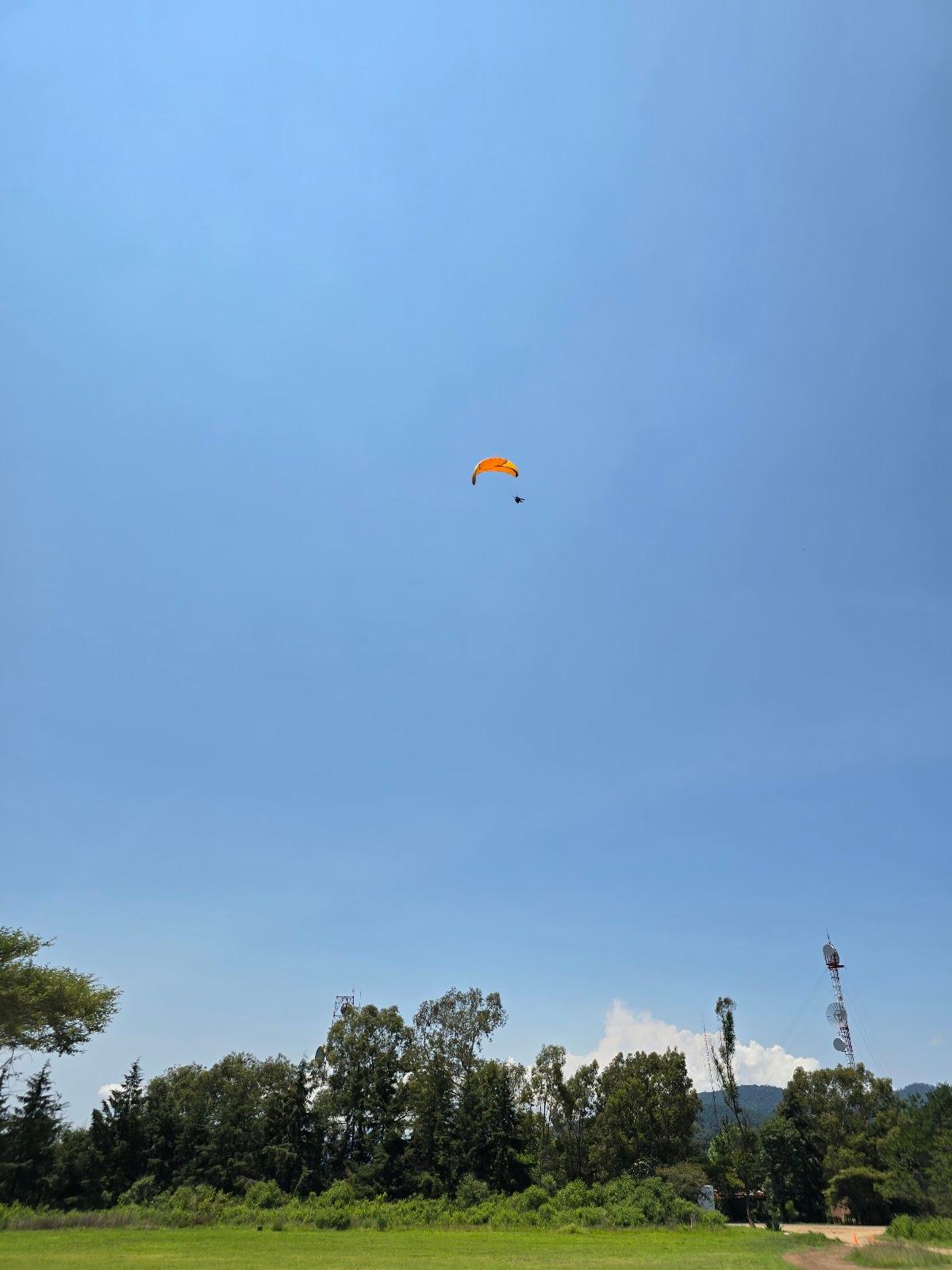 Los Papalotes galería 5