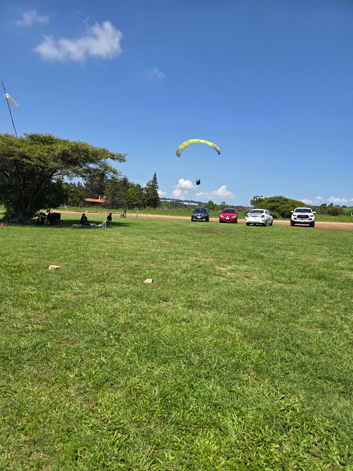 Los Papalotes galería 7