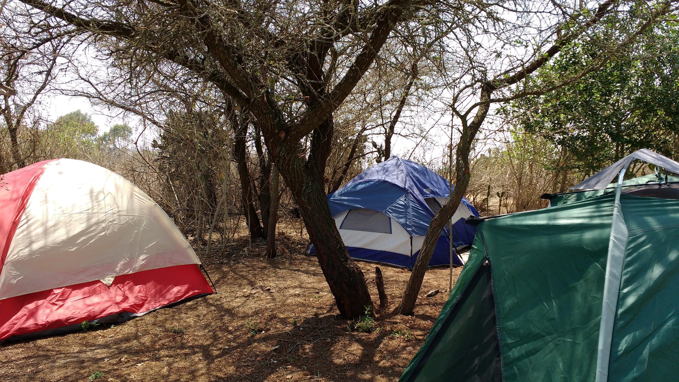 Los Papalotes galería 8