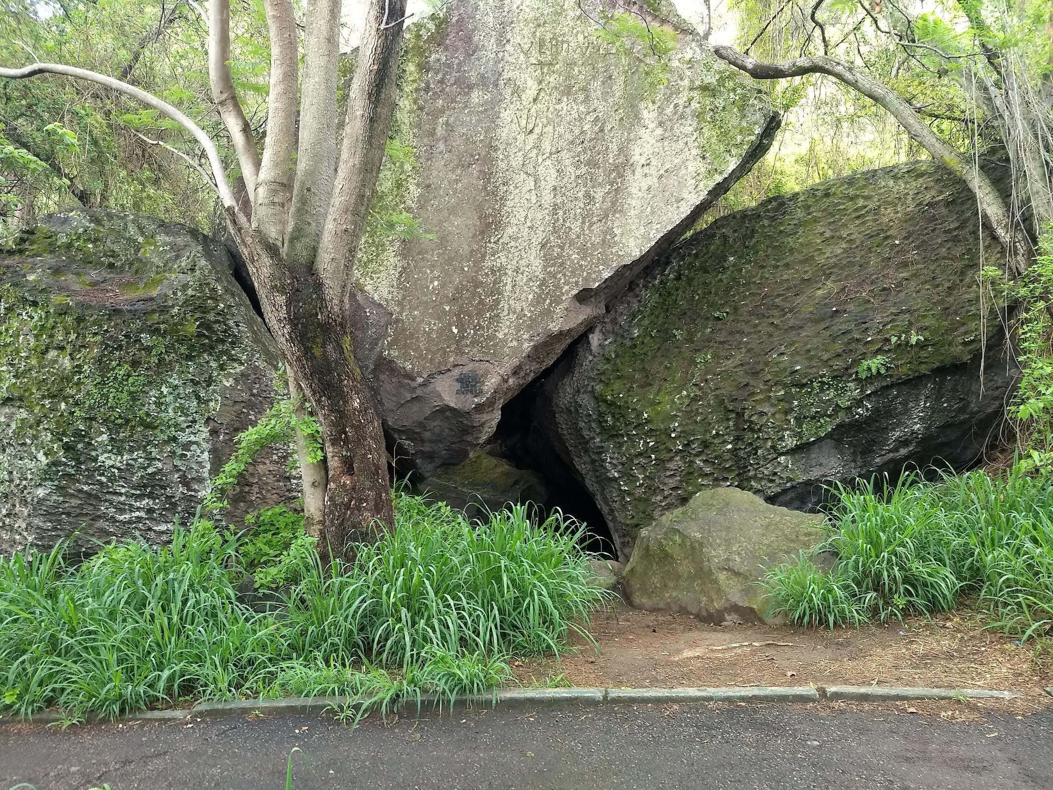 Barranca de Oblatos galería 9