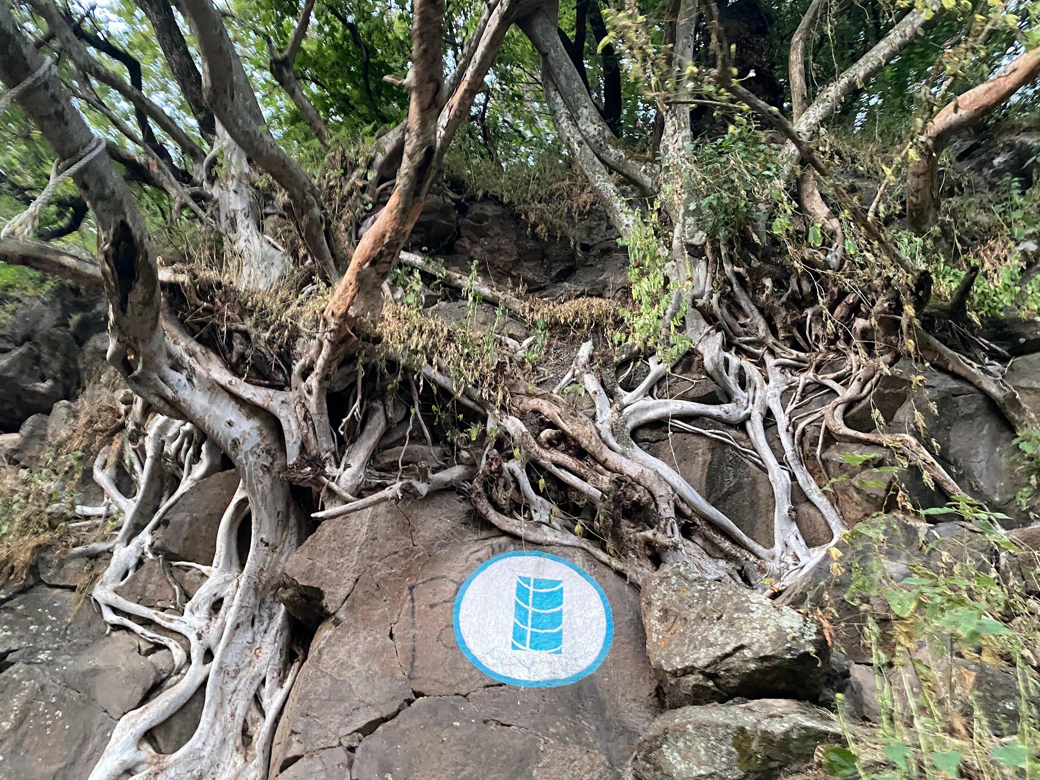 Barranca de Oblatos galería 10