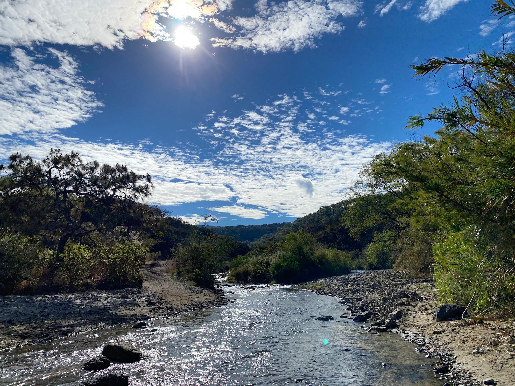 Bosque de la Primavera galería 2