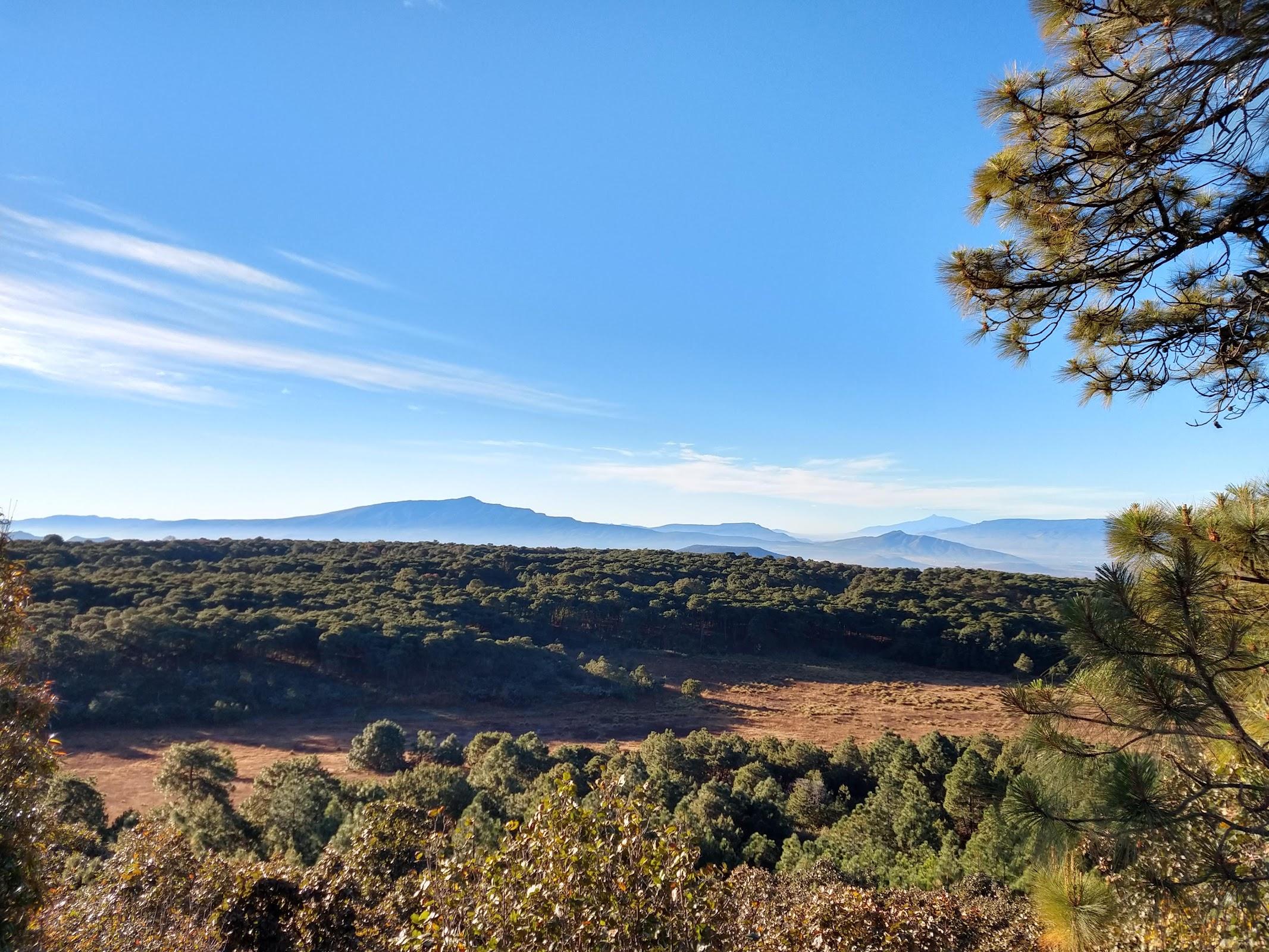 Bosque de la Primavera galería 3