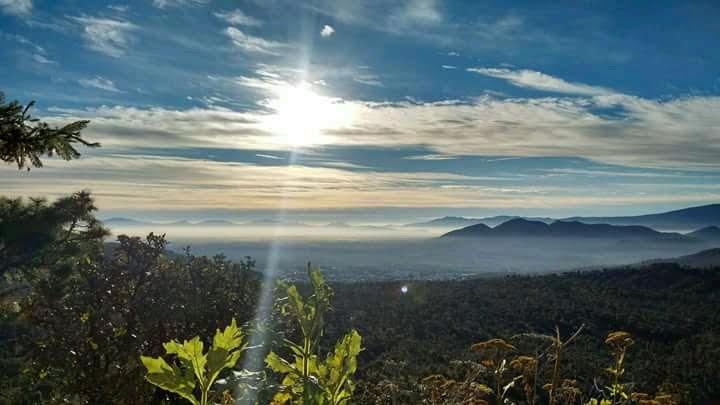 Bosque de la Primavera galería 7