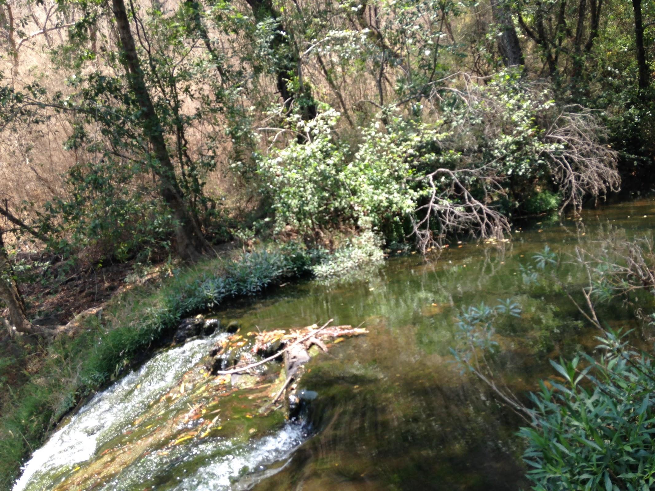 Cascada el Salto del Nogal, Tapalpa galería 9