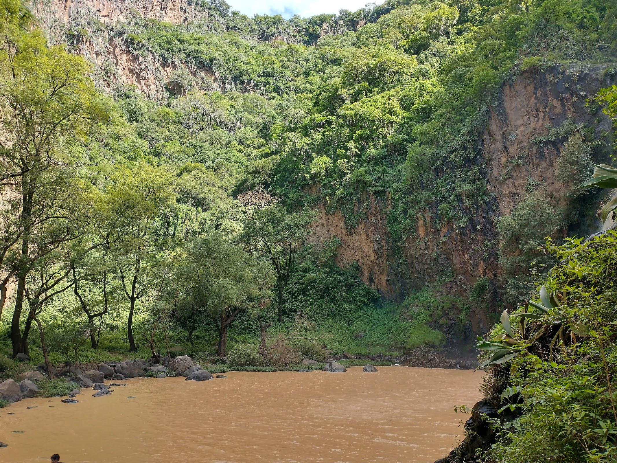 Cascada el Salto del Nogal, Tapalpa galería 10