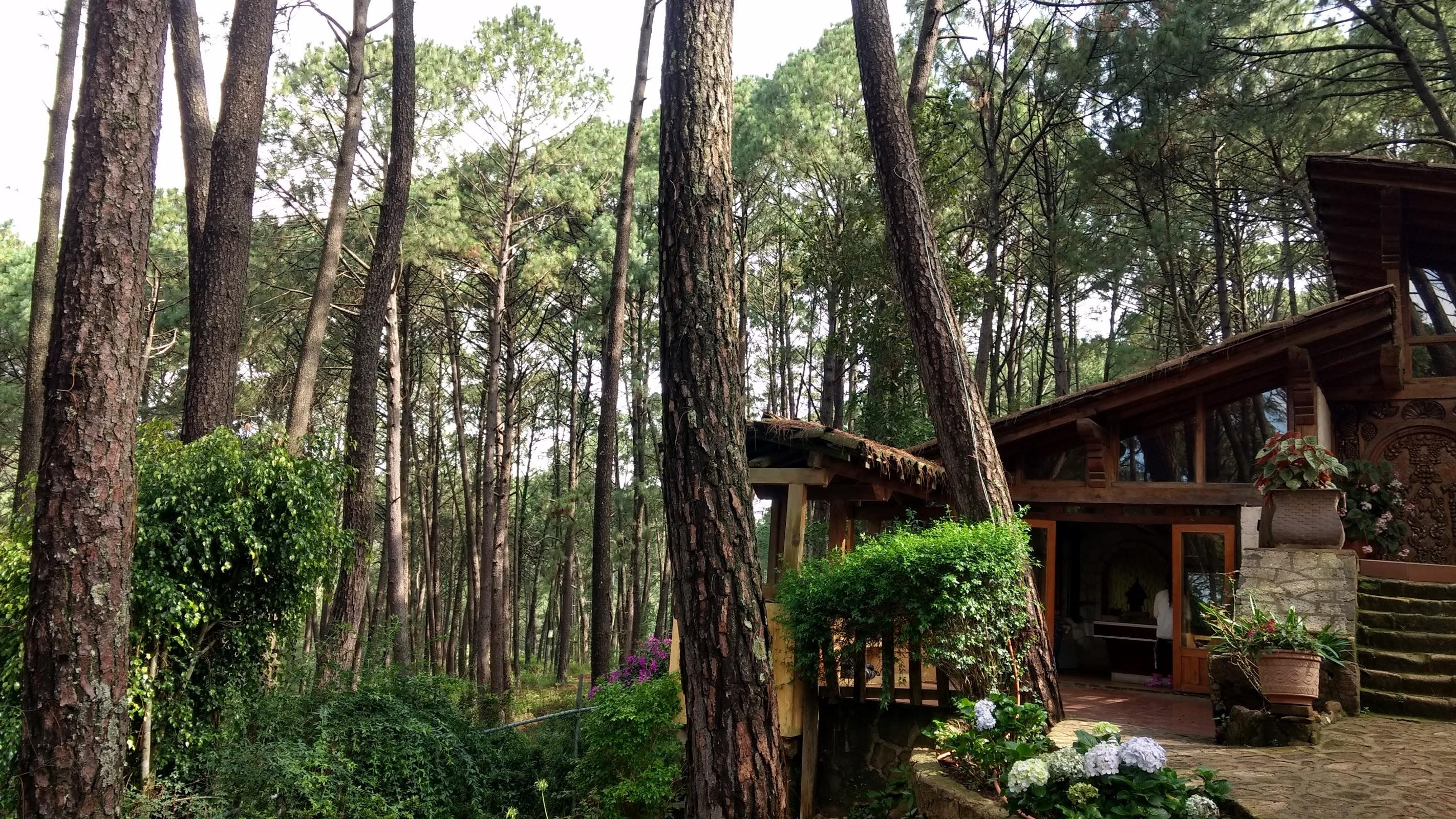 Los Cazos galería 3