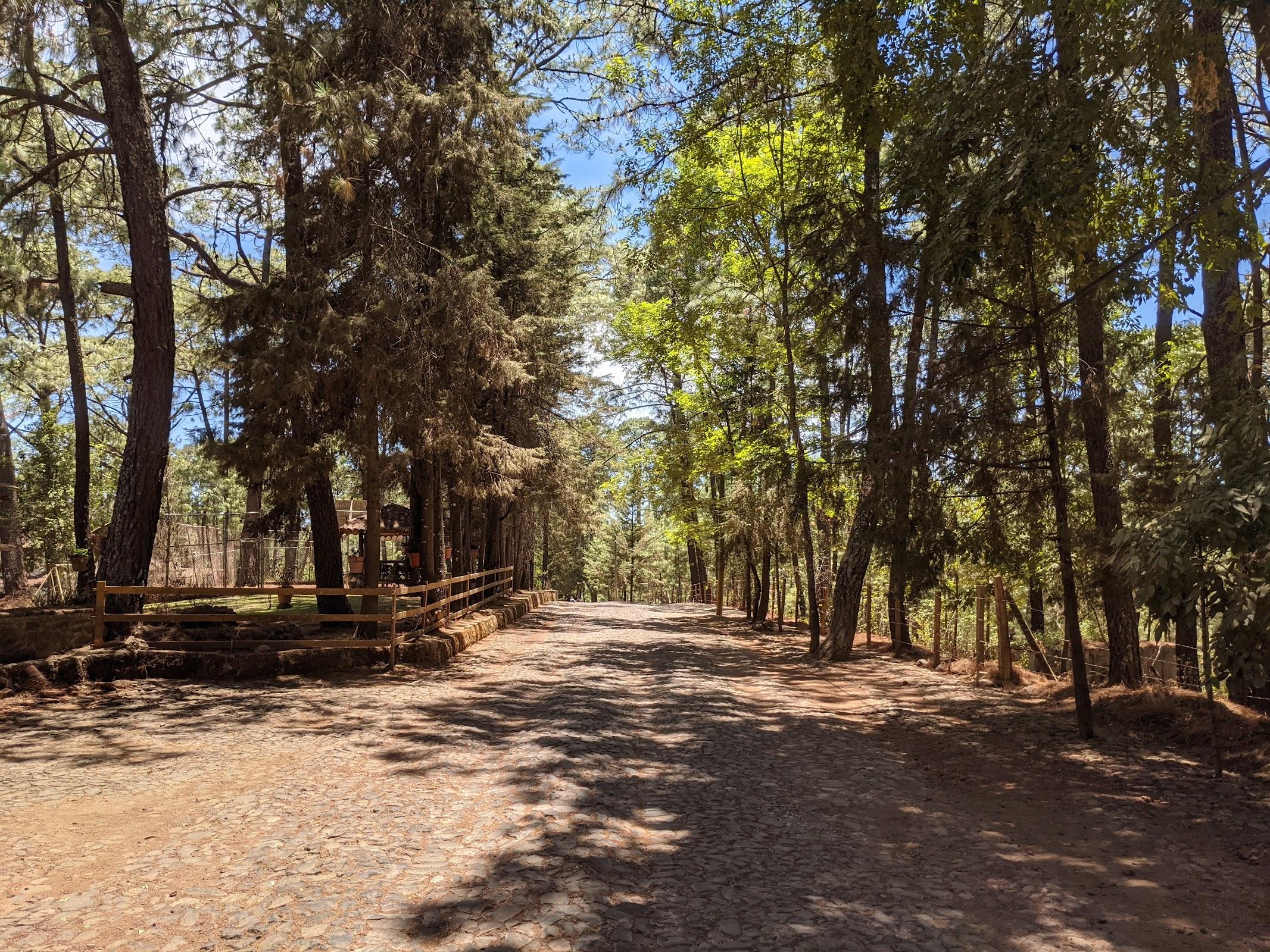 Los Cazos galería 4