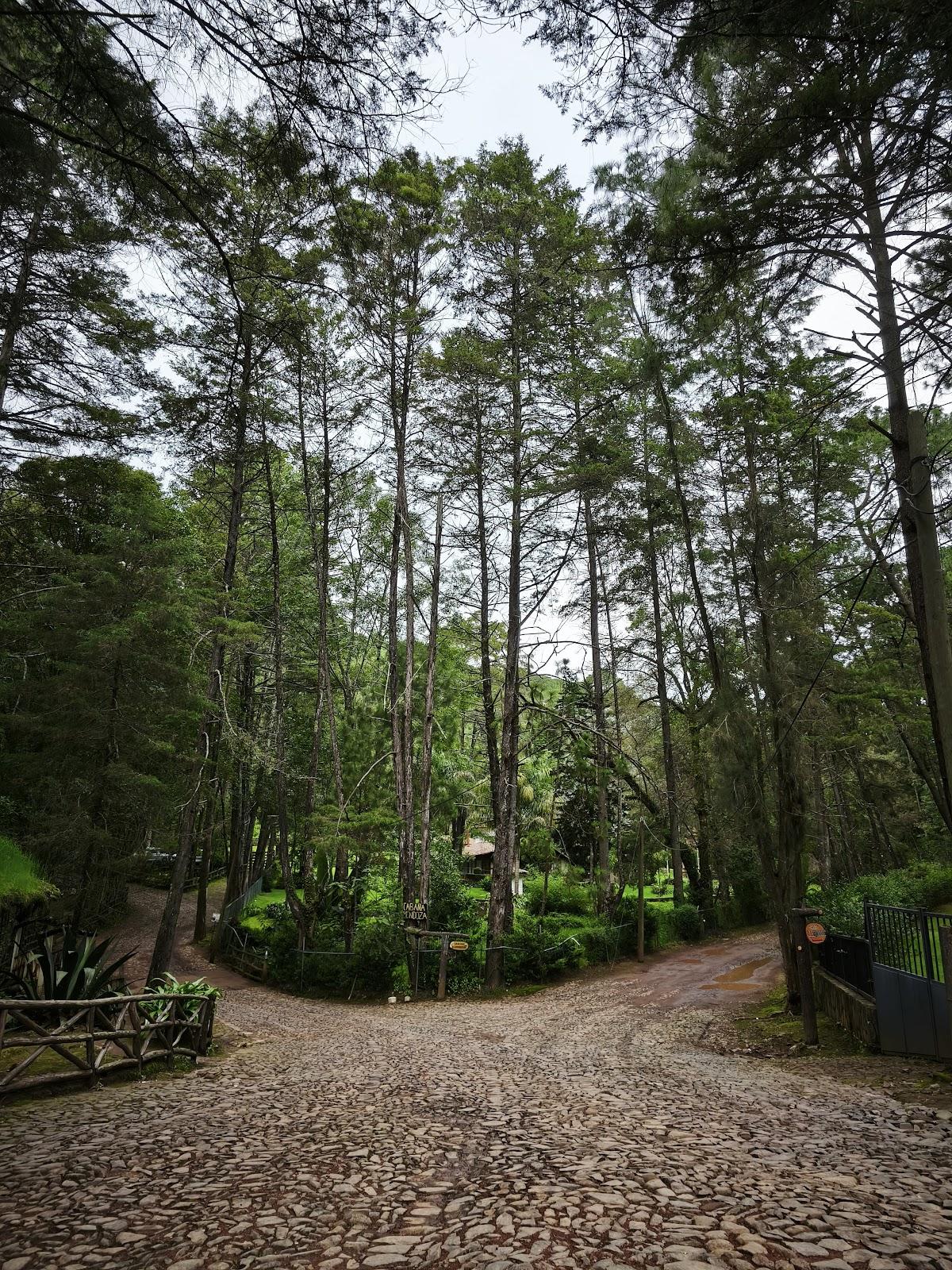 Los Cazos galería 5