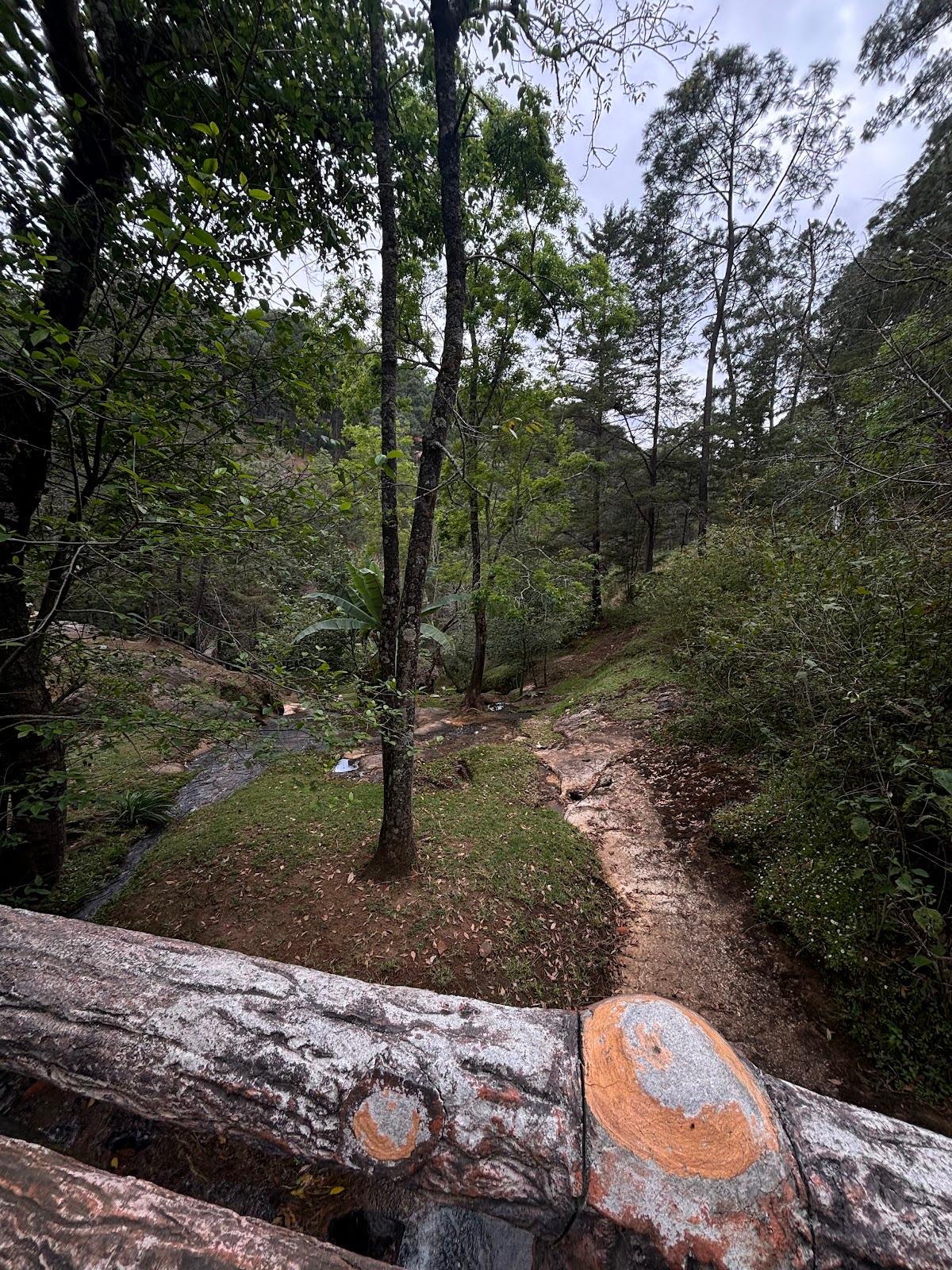 Los Cazos galería 9