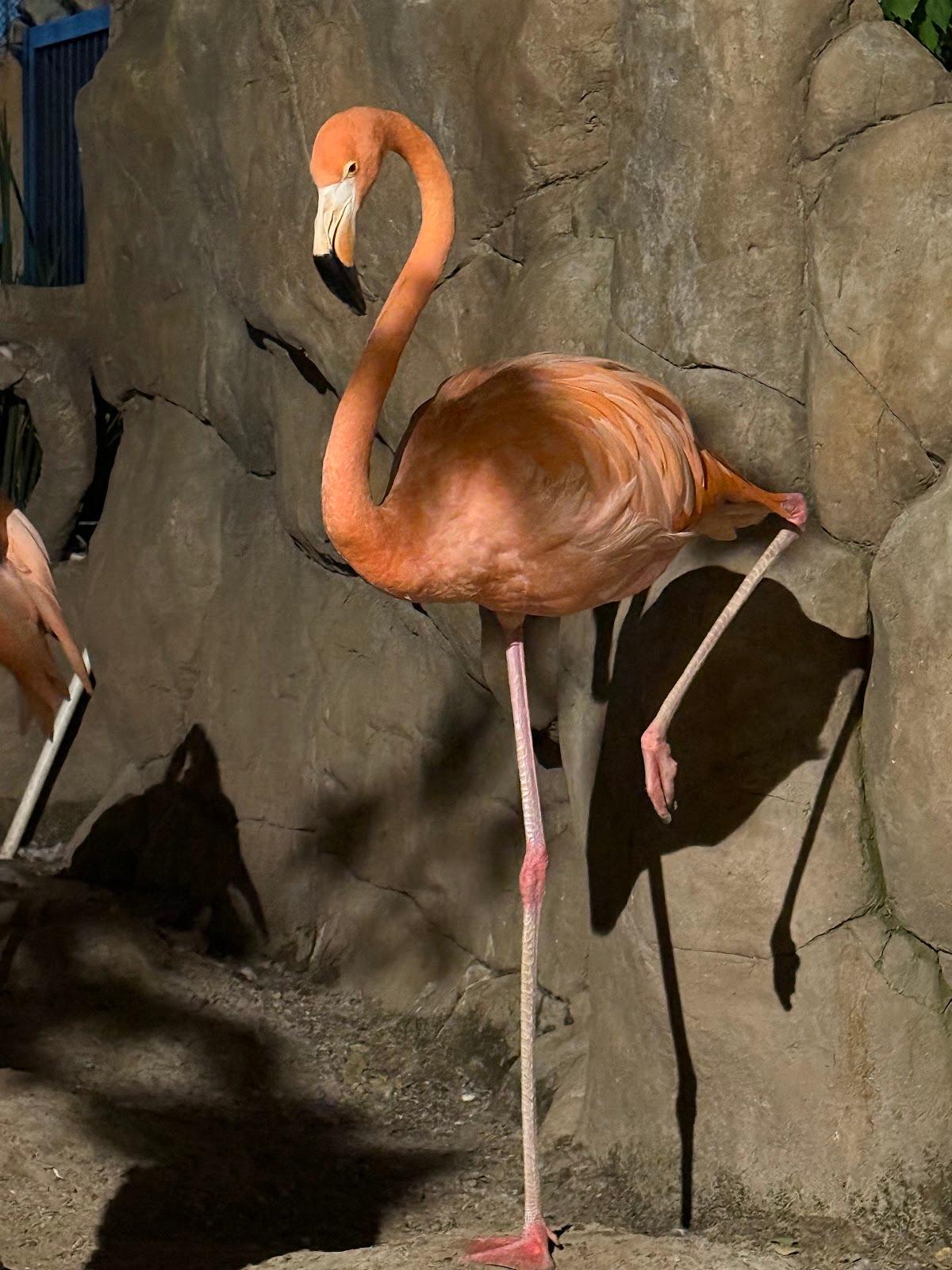 Acuario Michin Guadalajara galería 5