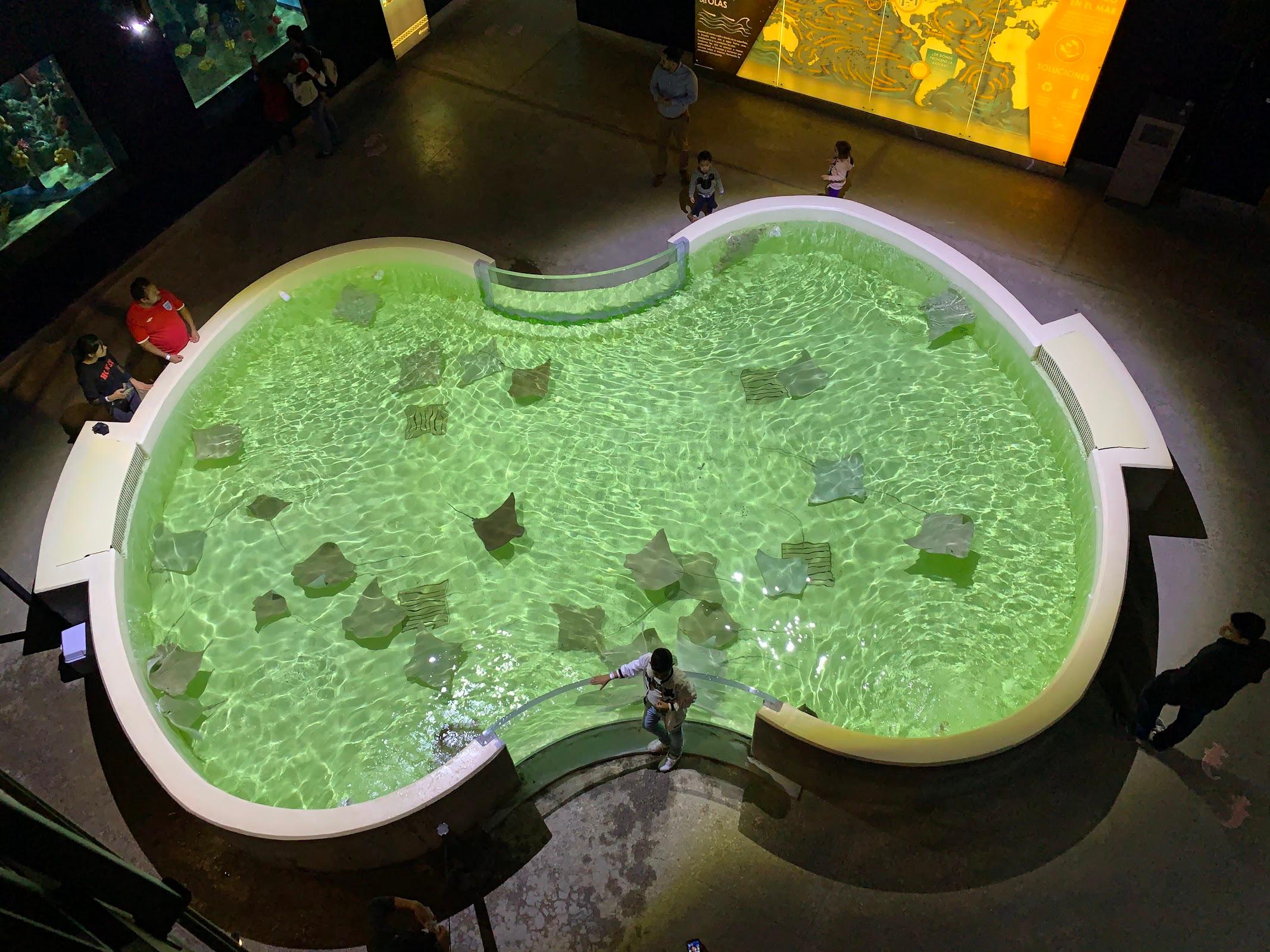 Acuario Michin Guadalajara galería 9