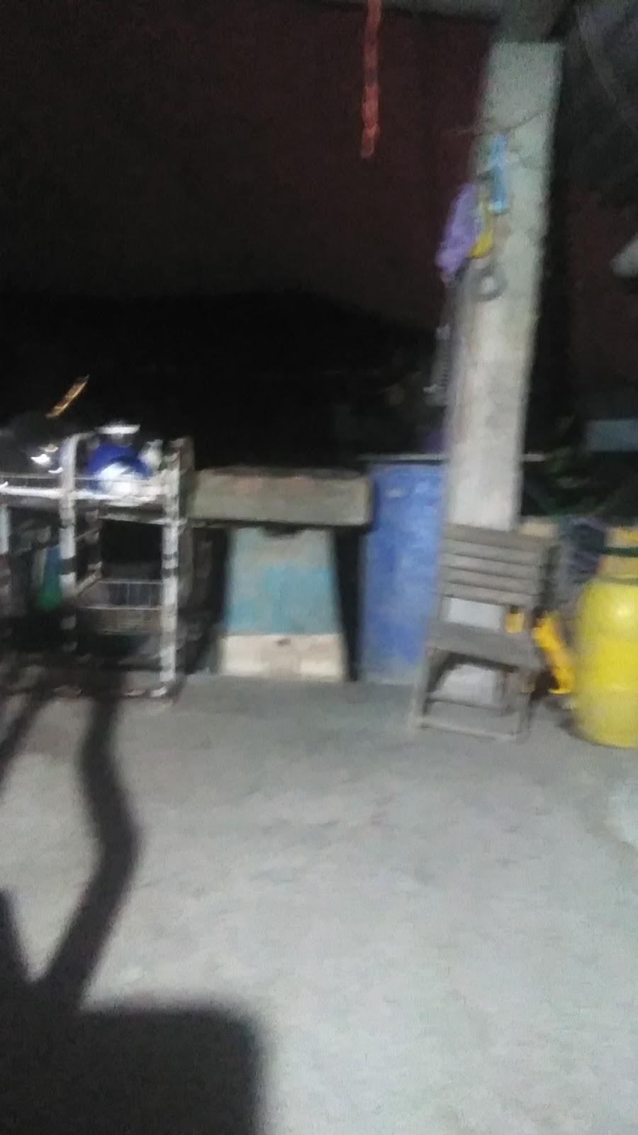 Galex Pelicano galería 5