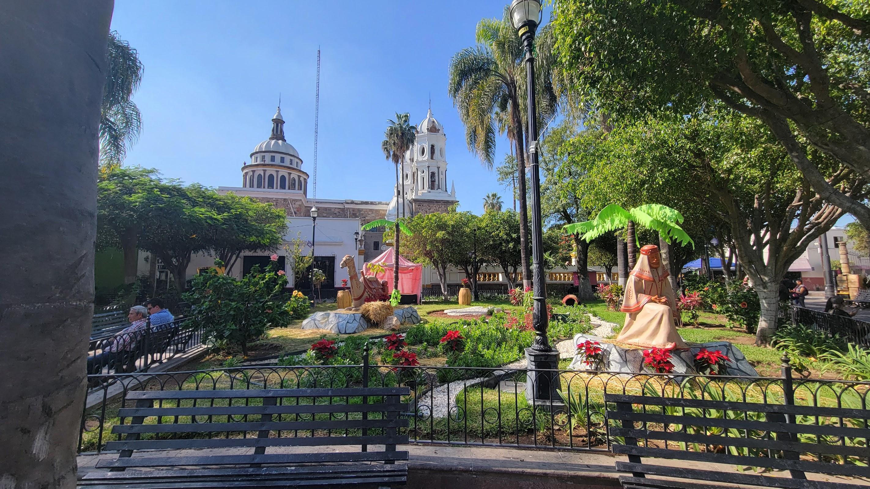 Jardín Hidalgo galería 7