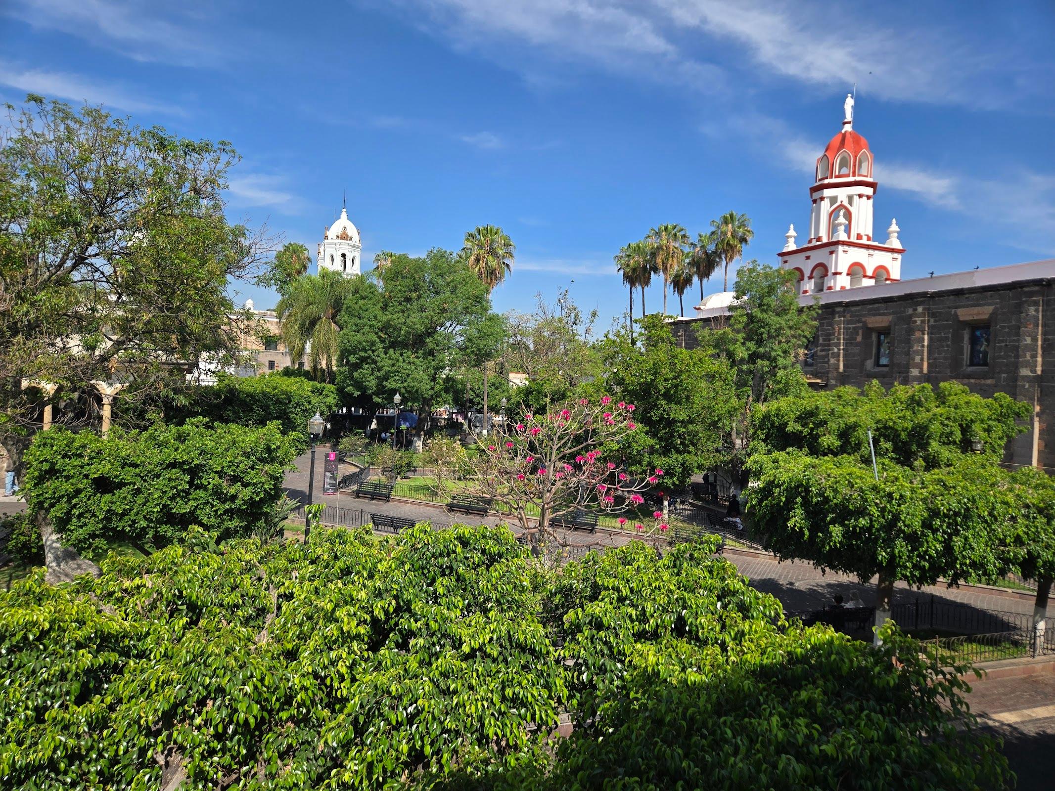 Jardín Hidalgo galería 9