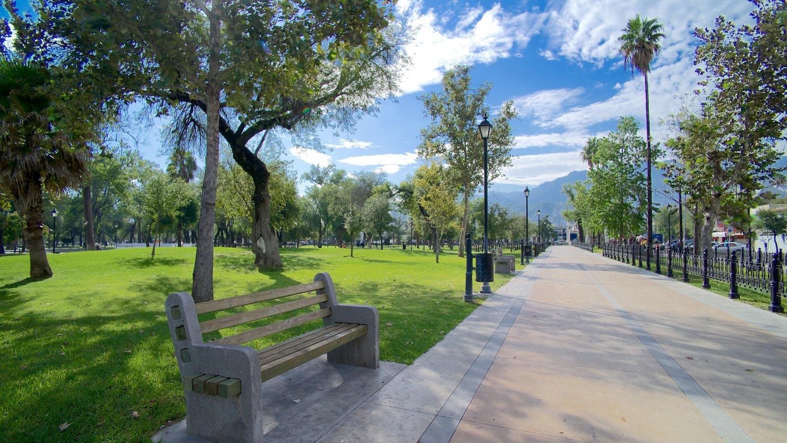 Alameda Monterrey galería 2