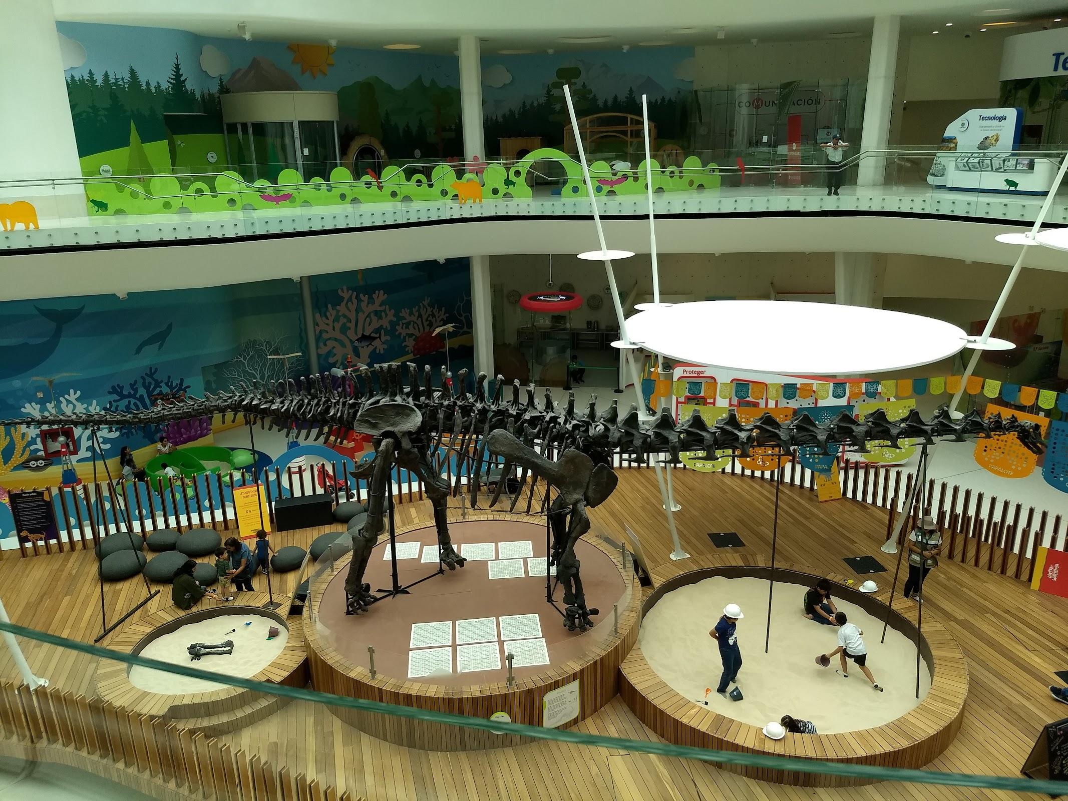 Papalote Museo del Niño-Monterrey galería 3