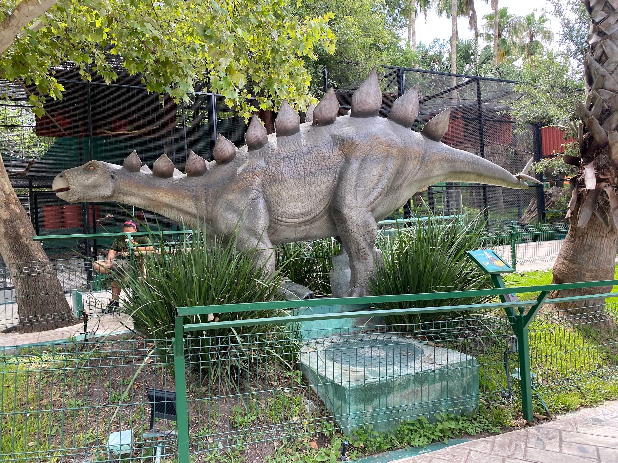 Parque Expedición Amazonia galería 5