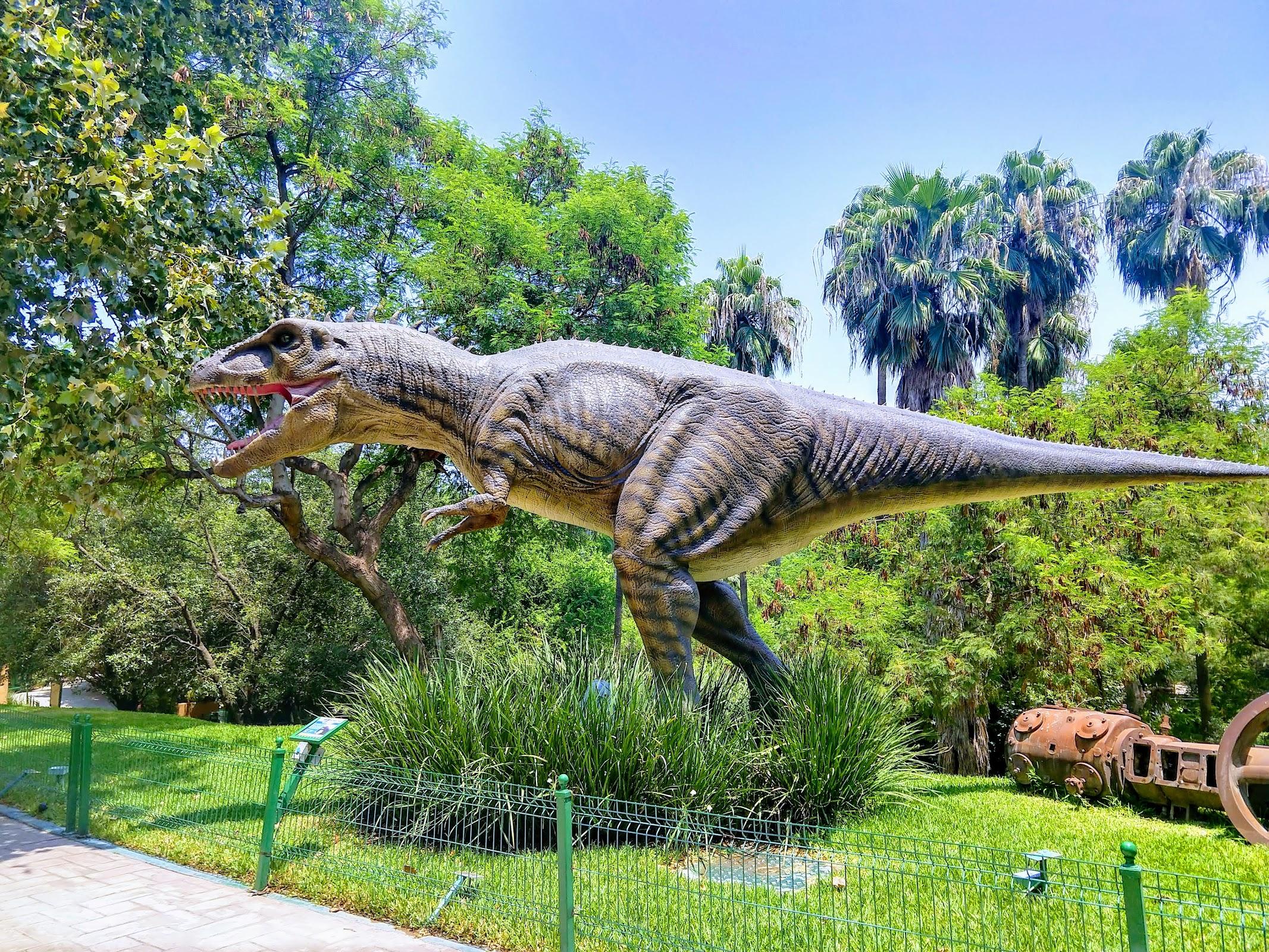 Parque Expedición Amazonia galería 6