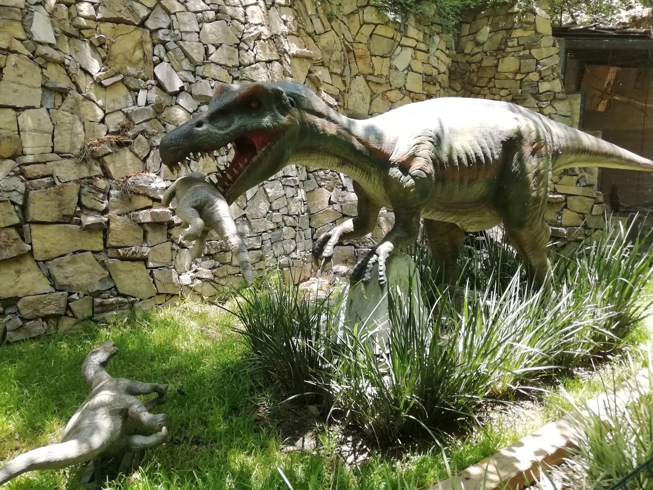 Parque Expedición Amazonia galería 7