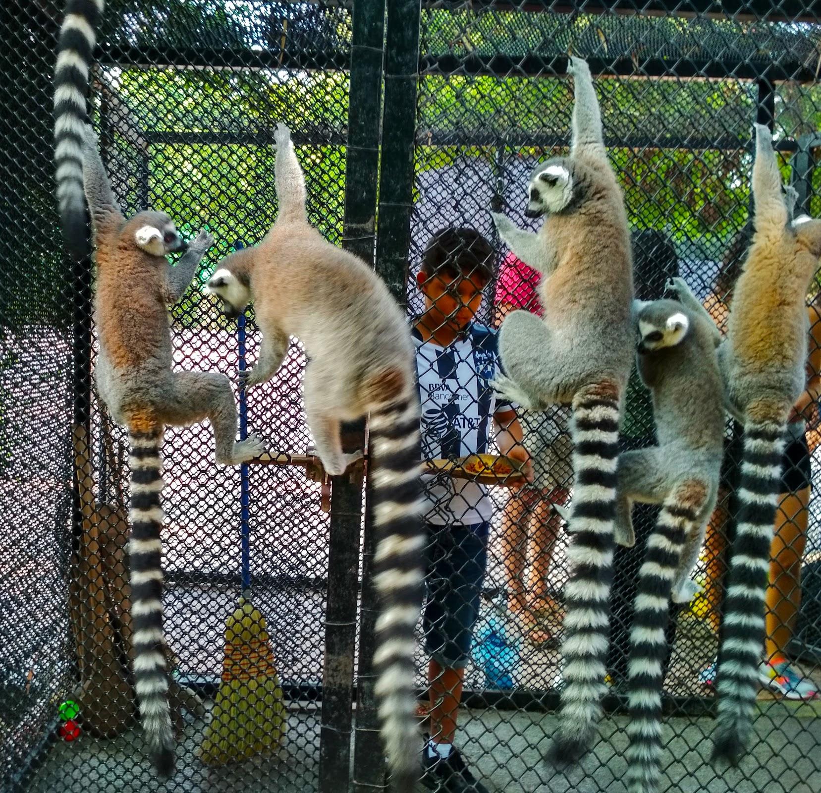 Parque Expedición Amazonia galería 9