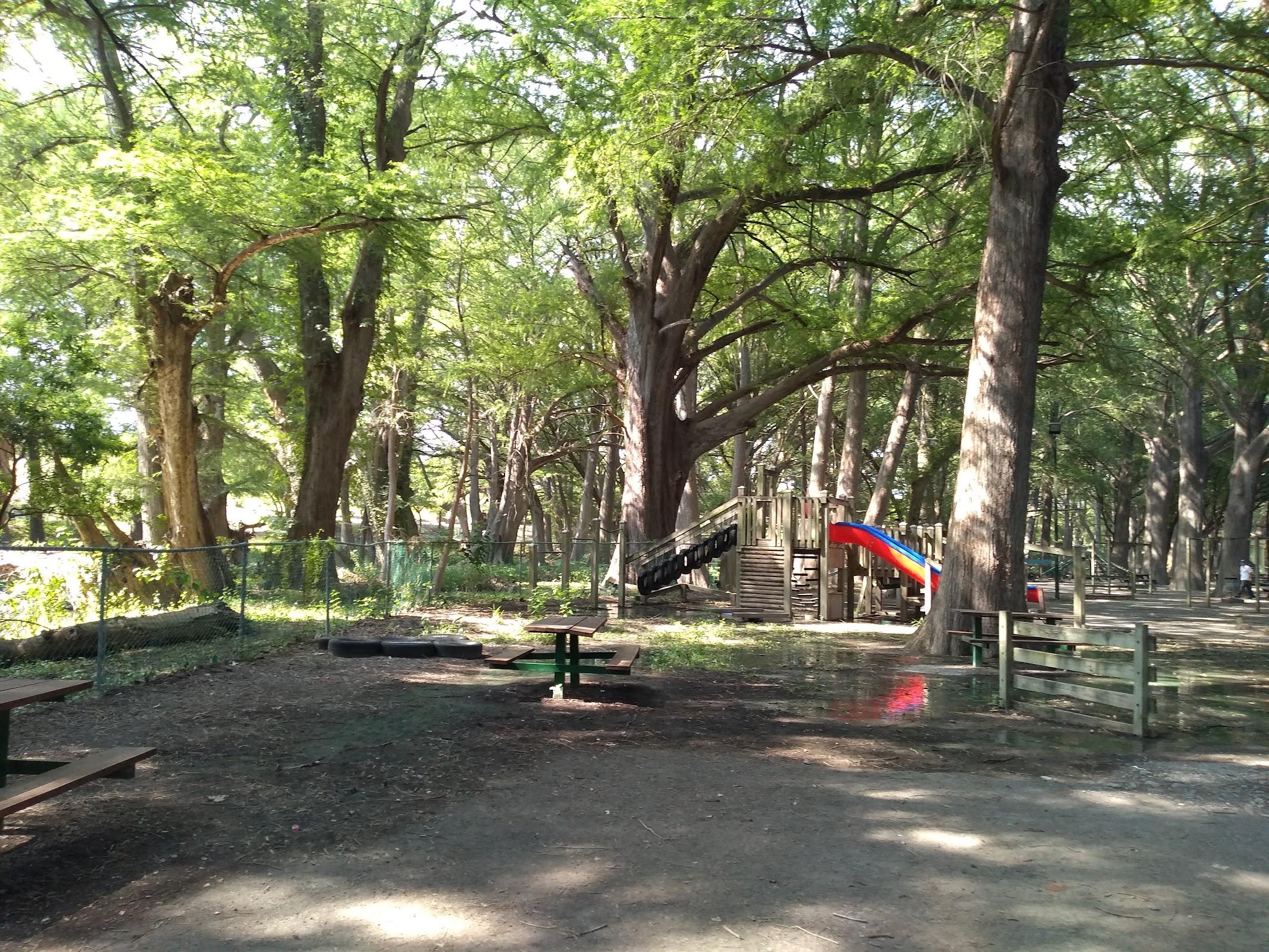 Parque Nacional El Sabinal galería 2