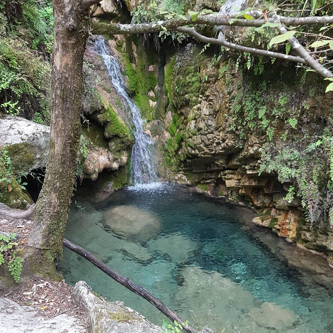 Parque Natural La Estanzuela Monterrey galería 8